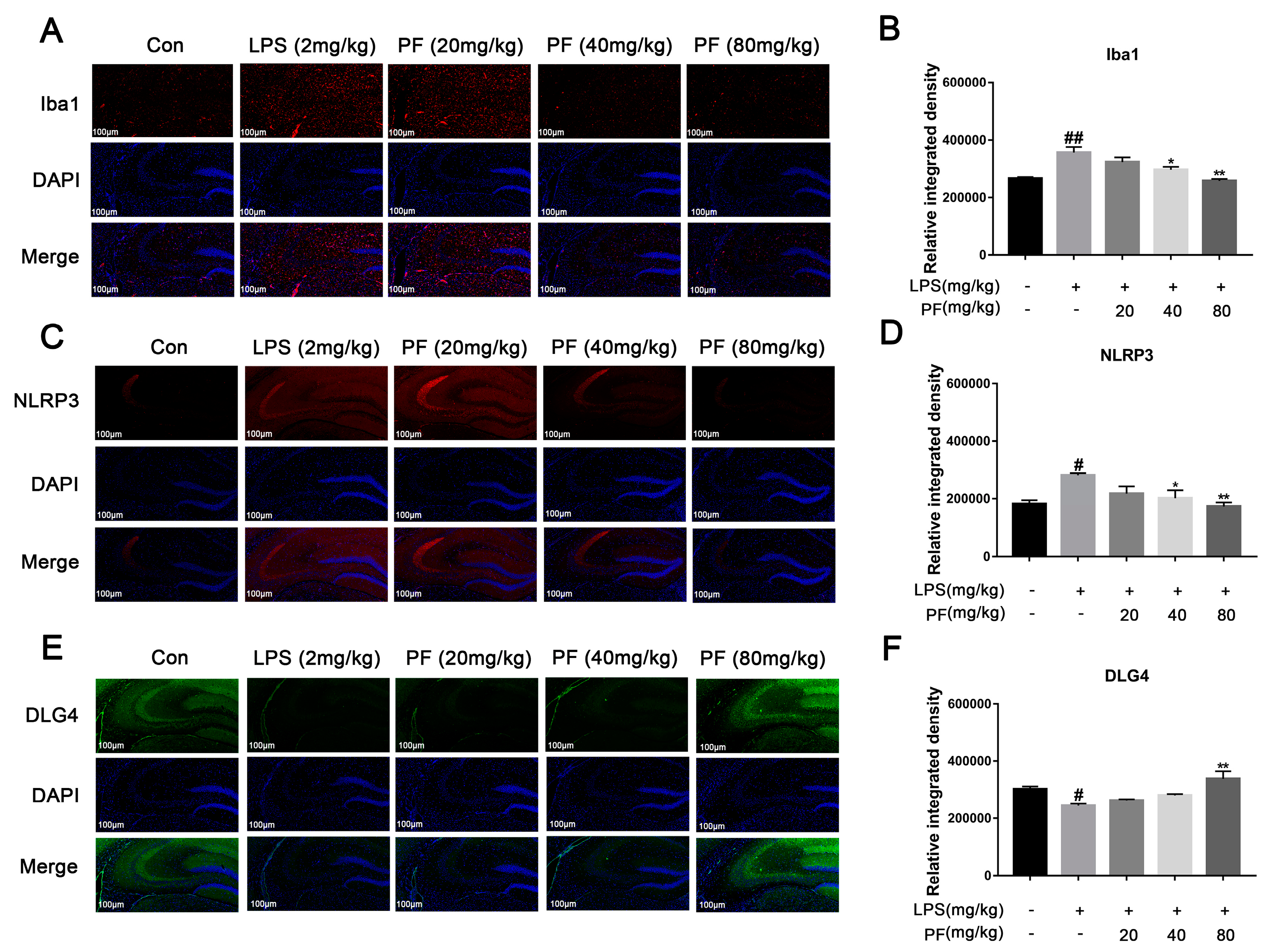 Antioxidants 14 00585 g003
