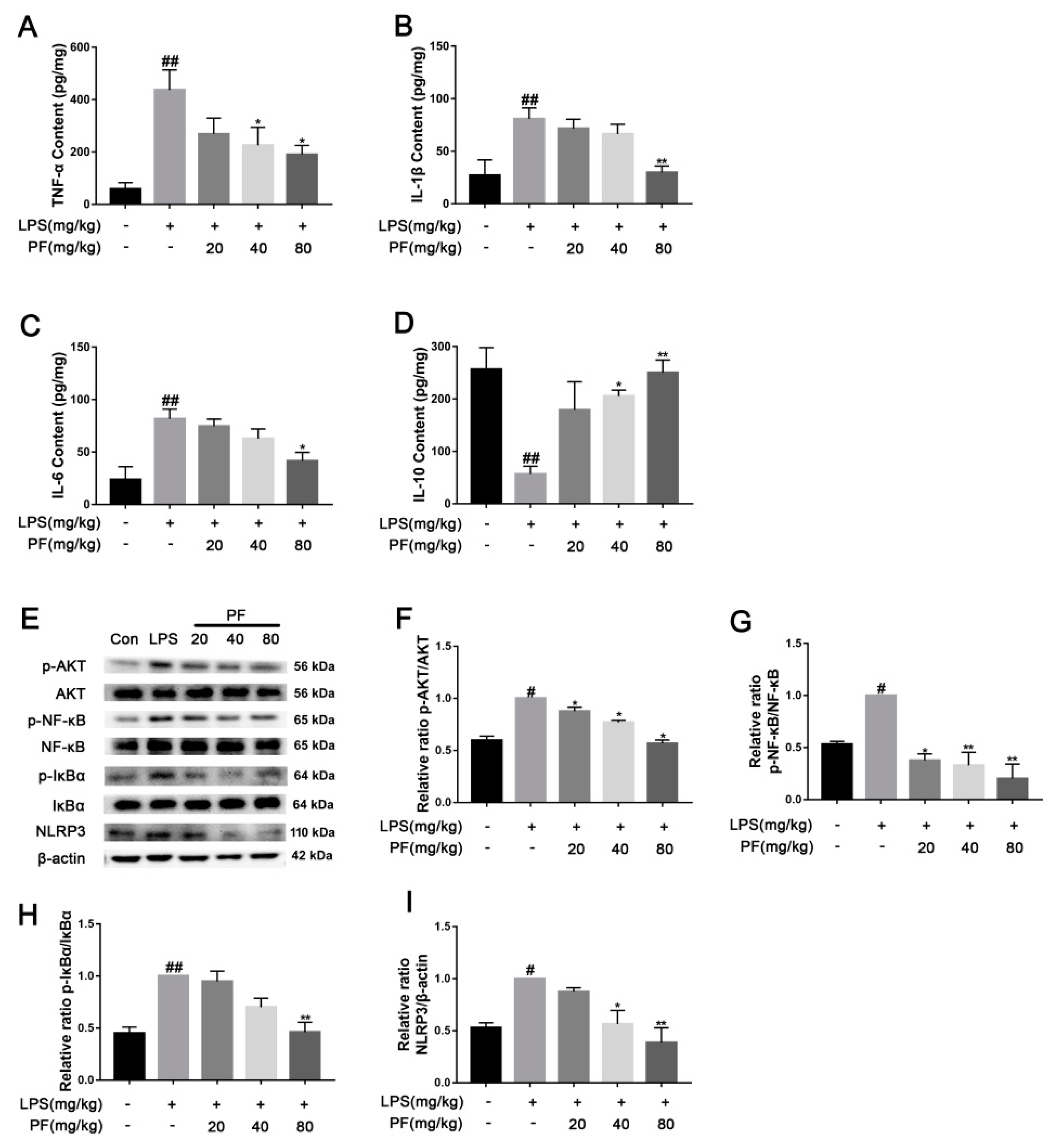 Antioxidants 14 00585 g004