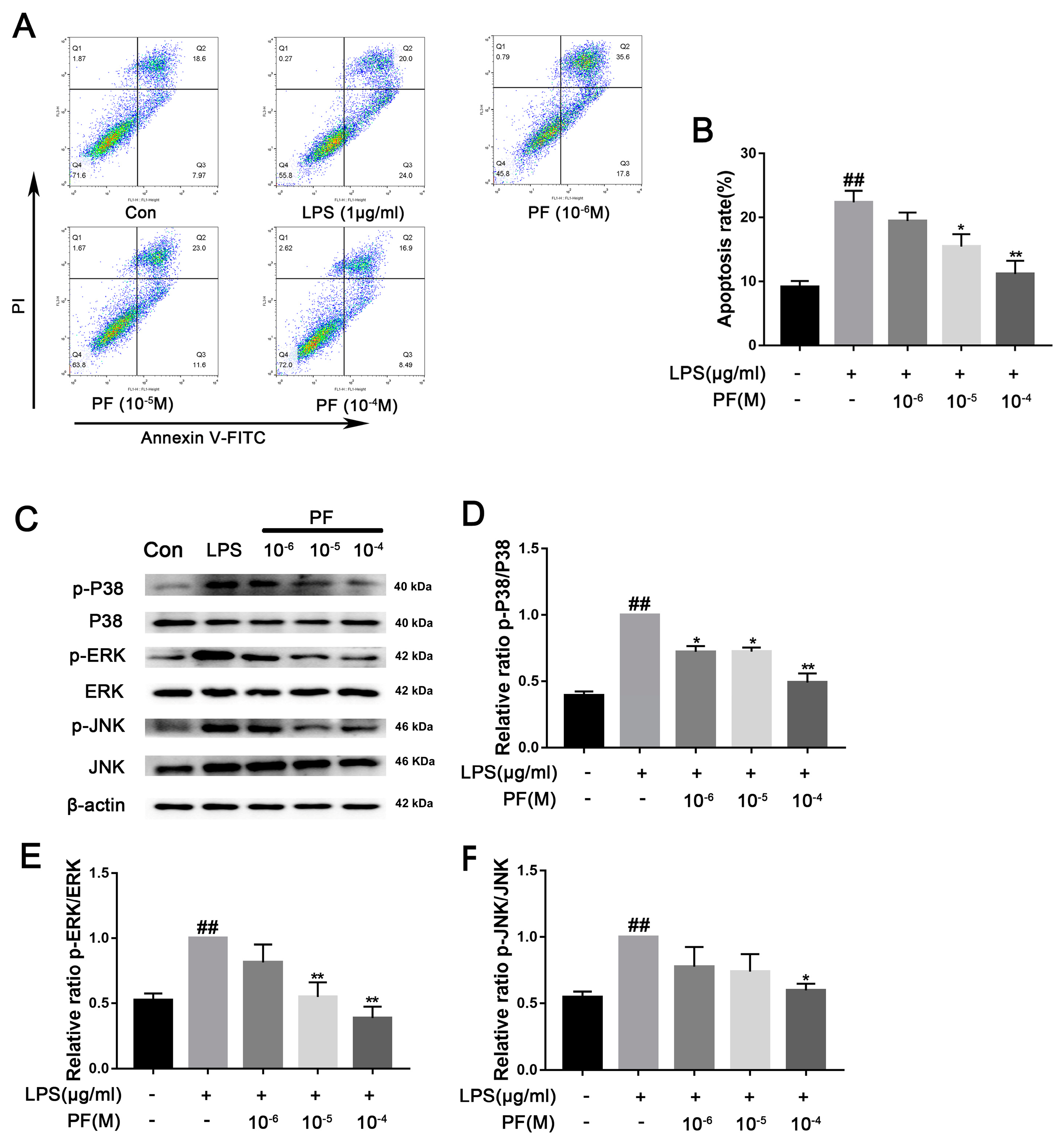 Antioxidants 14 00585 g007
