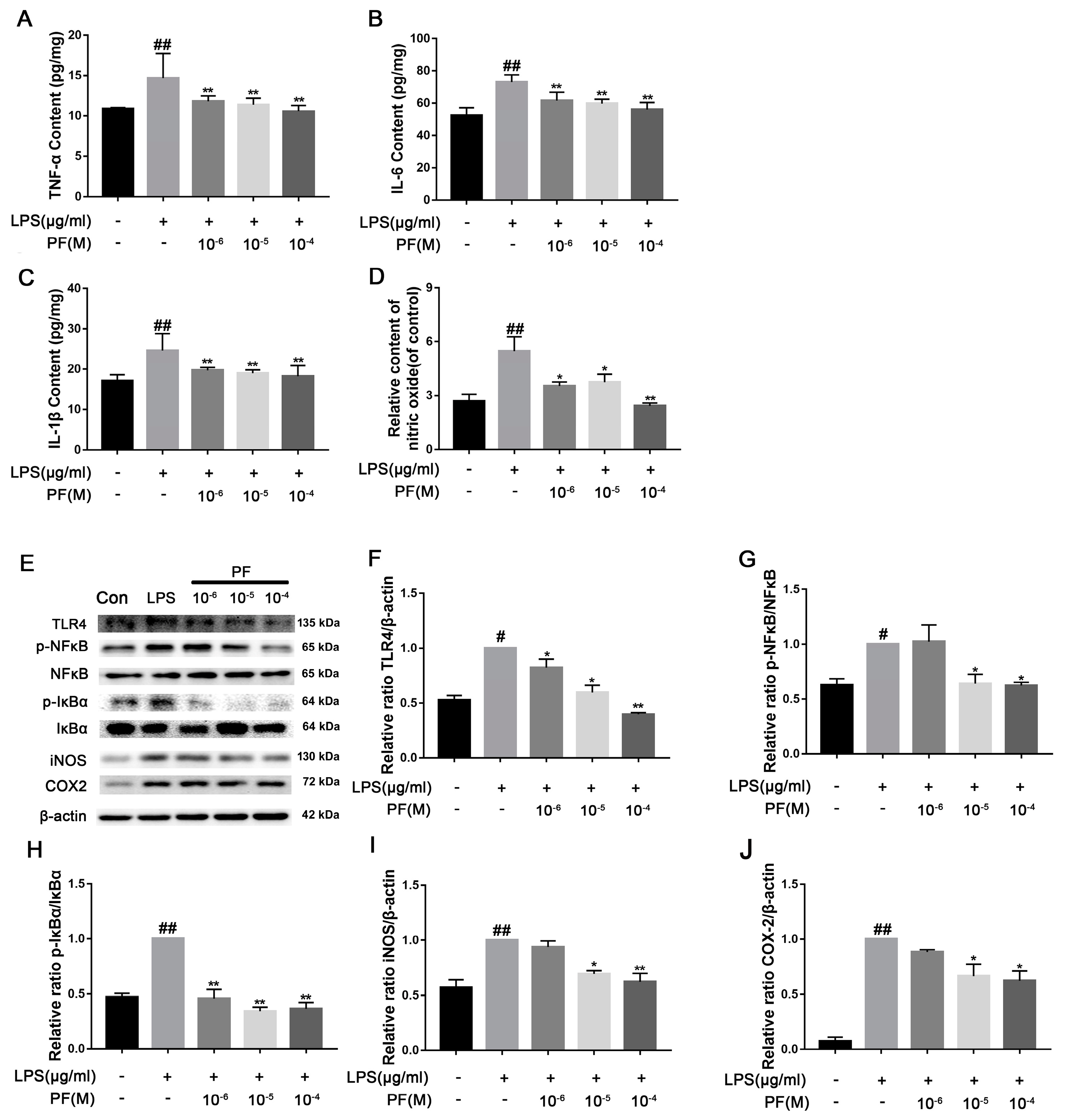 Antioxidants 14 00585 g008