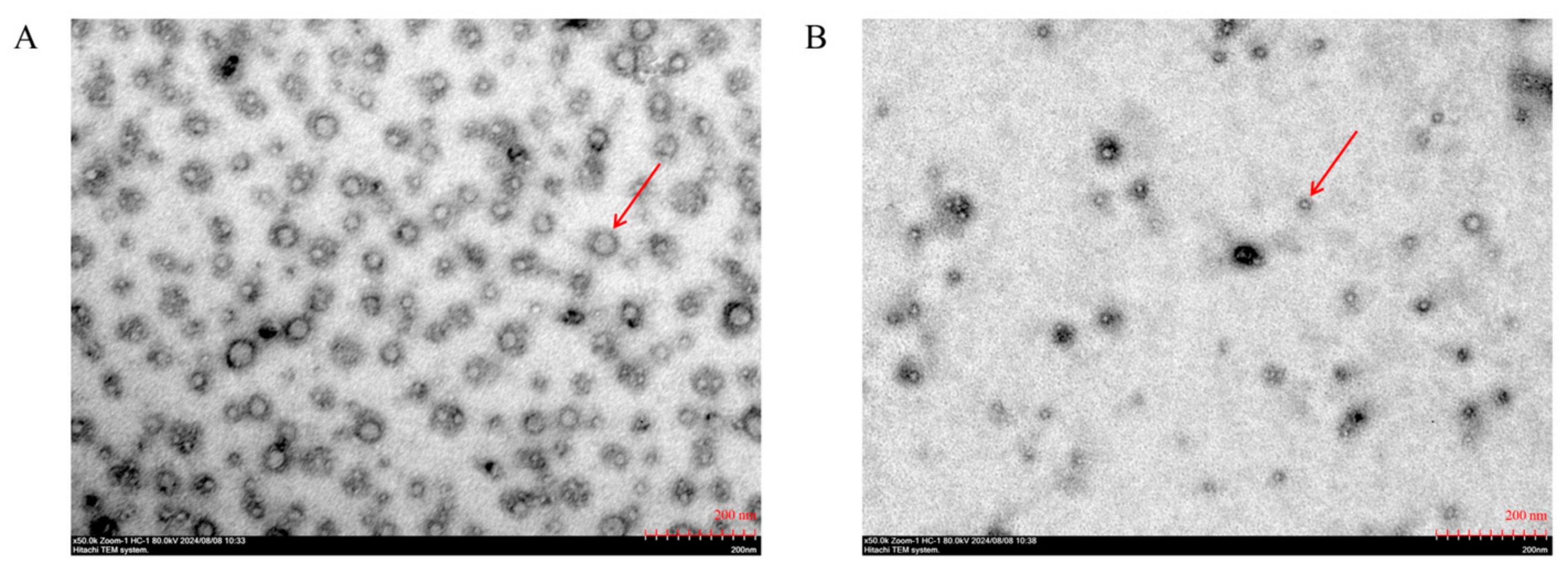 Antioxidants 14 00586 g002