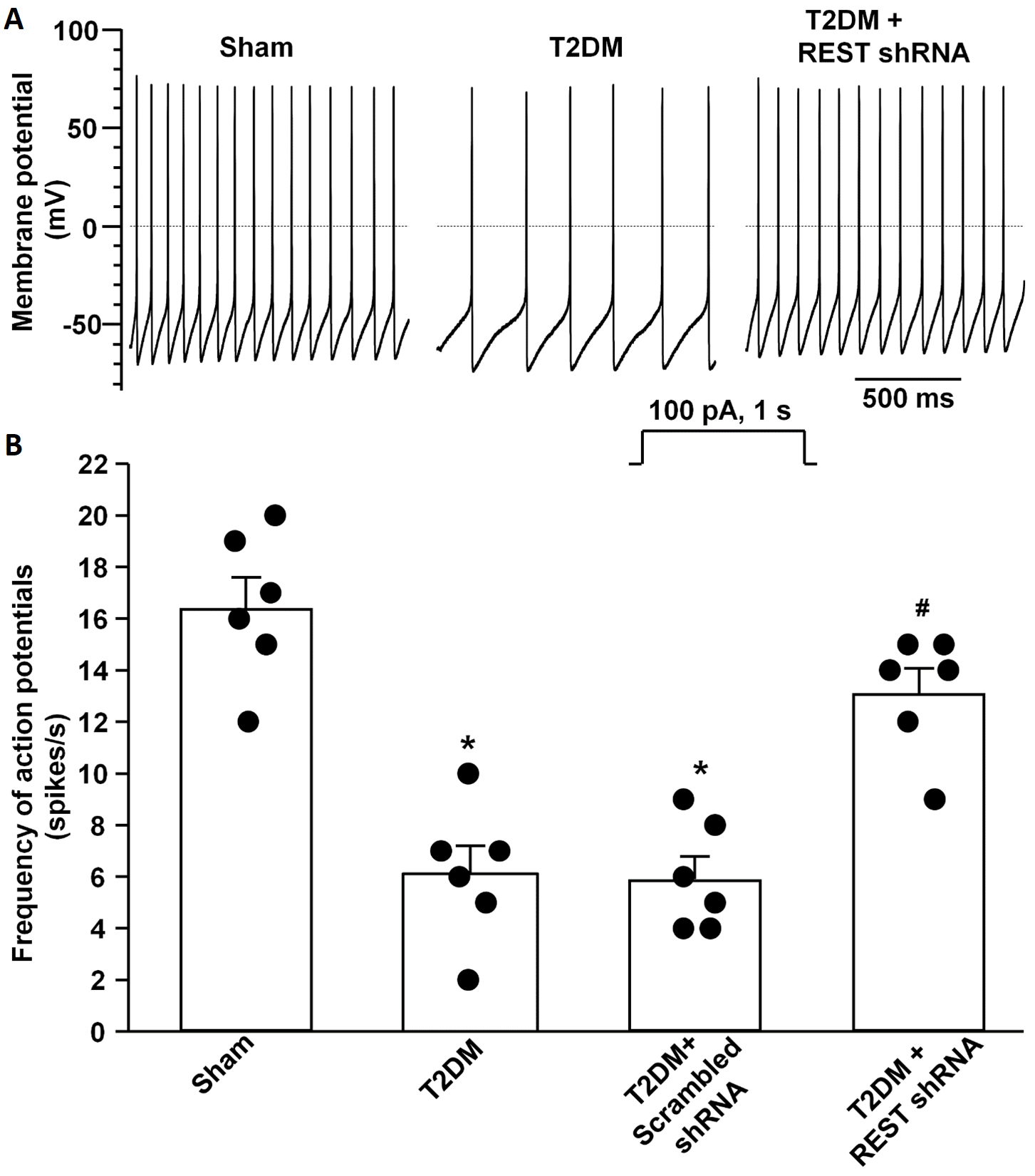 Antioxidants 14 00588 g005