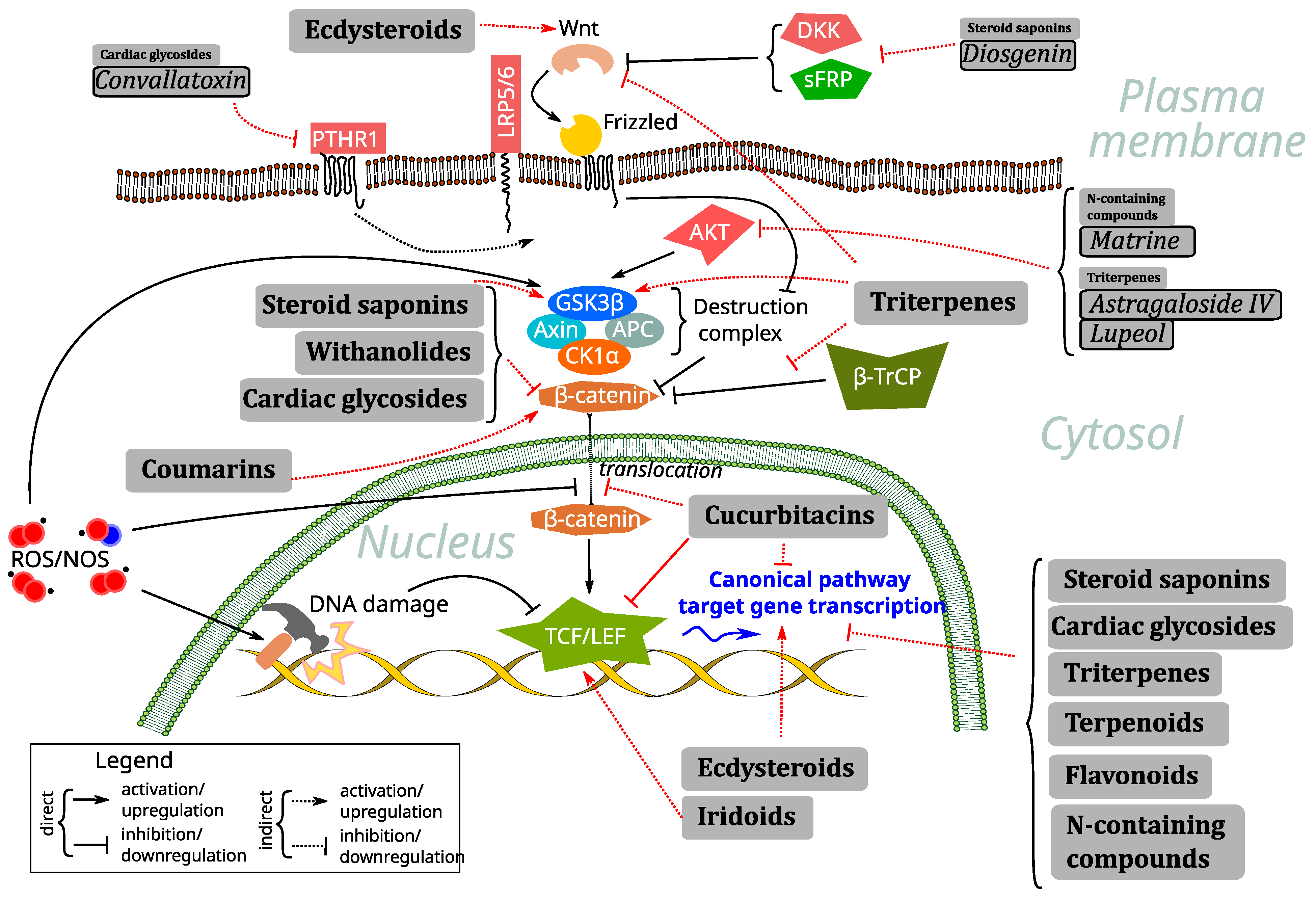 Antioxidants 14 00591 g001