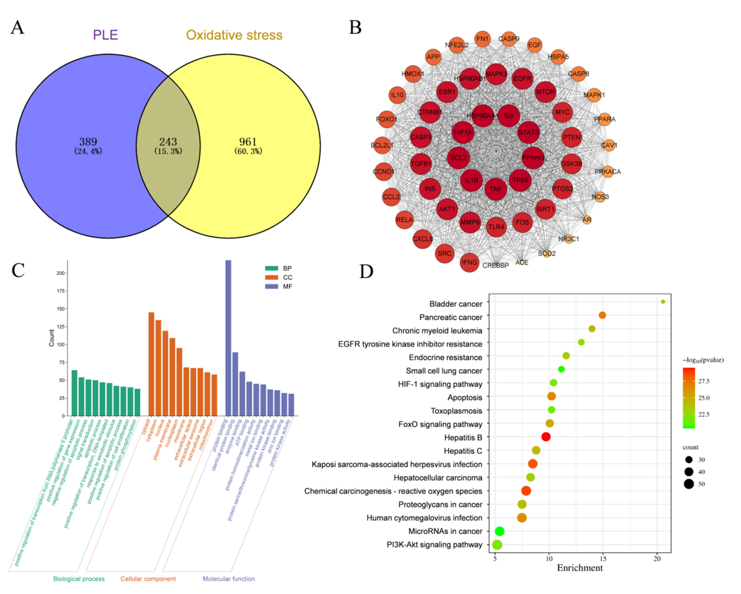 Antioxidants 14 00592 g007