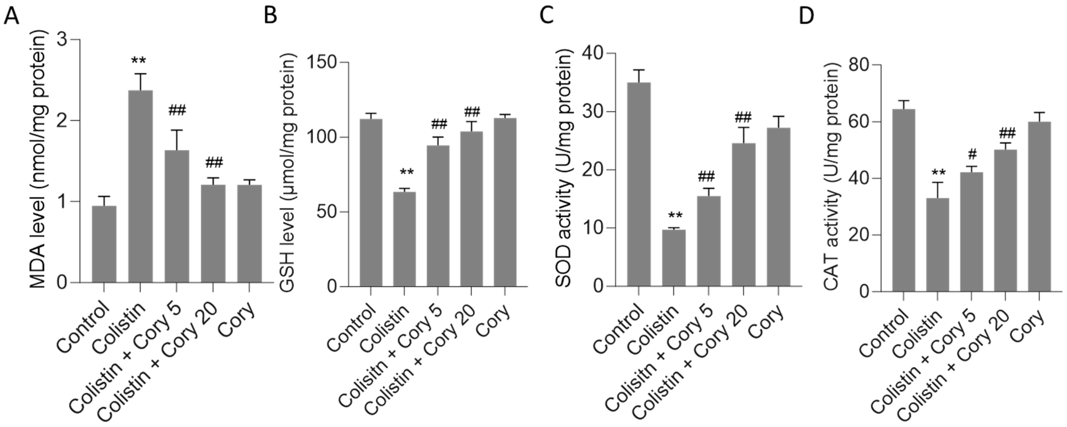 Antioxidants 14 00593 g004 Antioxidants 14 00593 g004