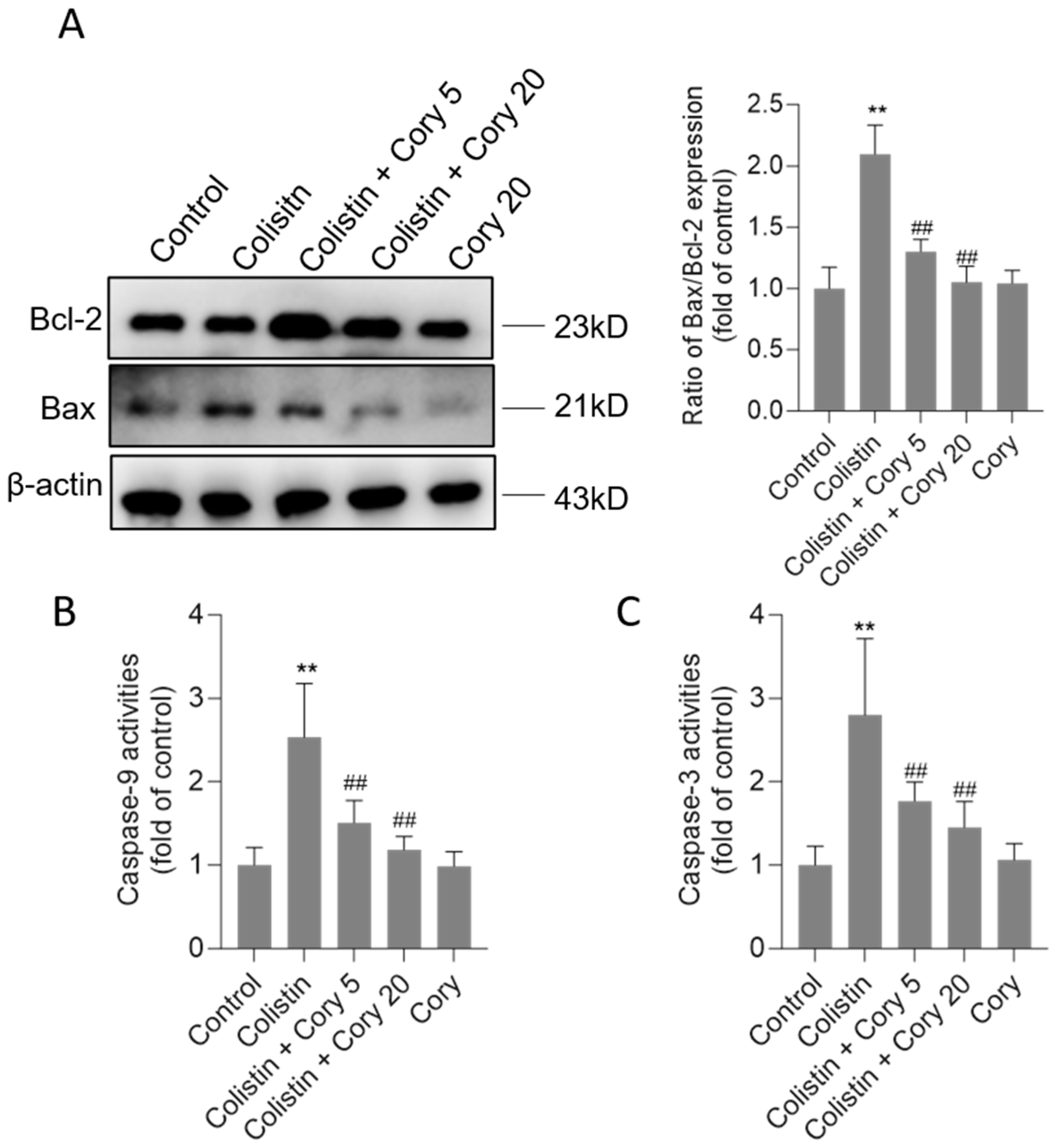Antioxidants 14 00593 g005 Antioxidants 14 00593 g005