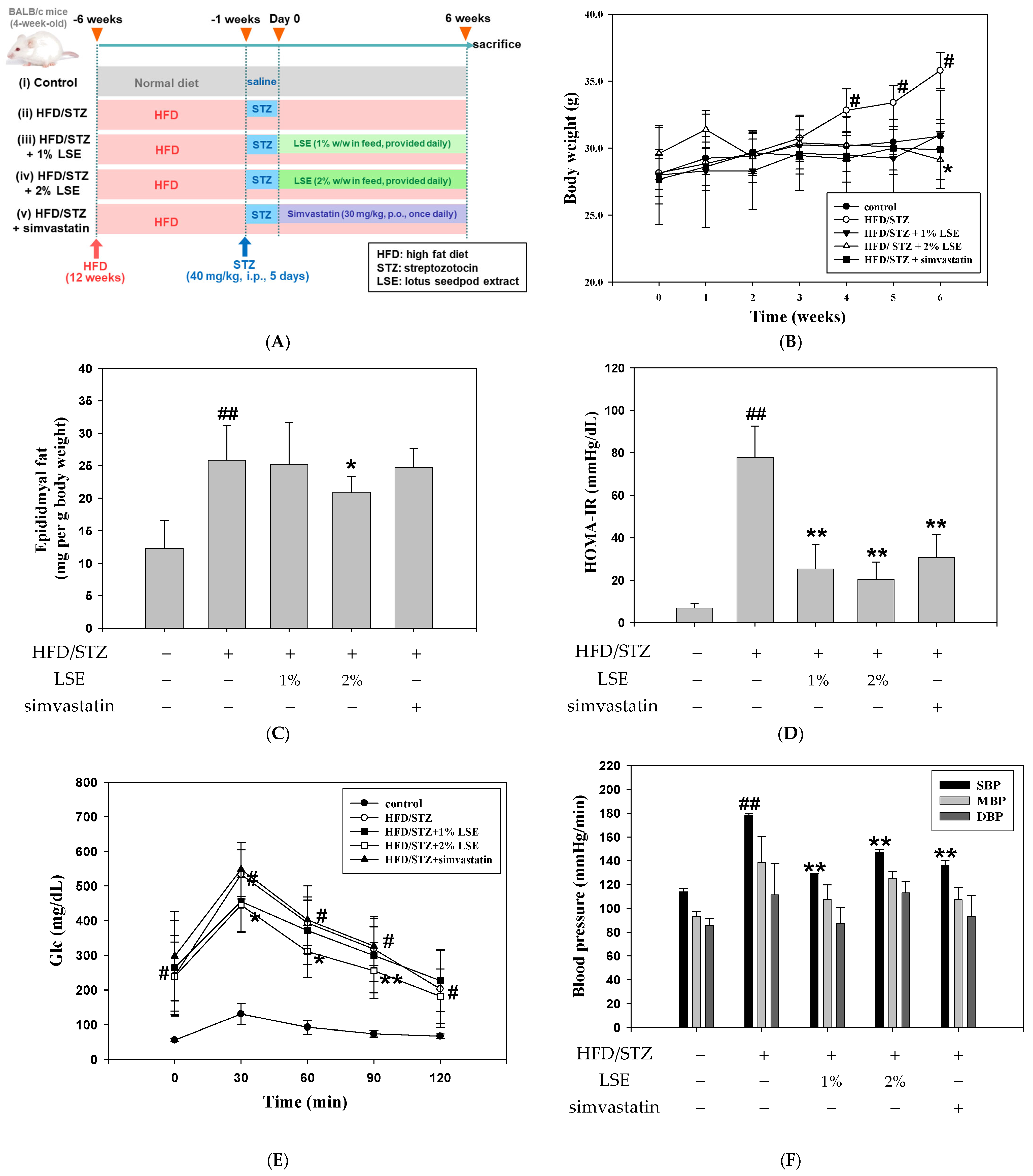 Antioxidants 14 00595 g001