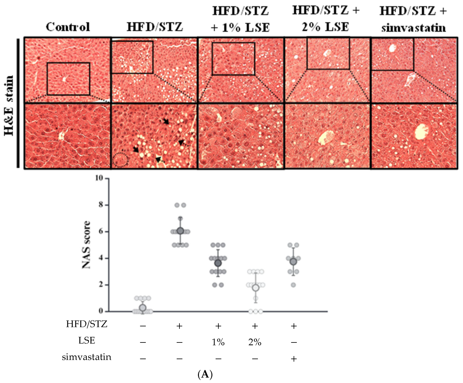 Antioxidants 14 00595 g003a