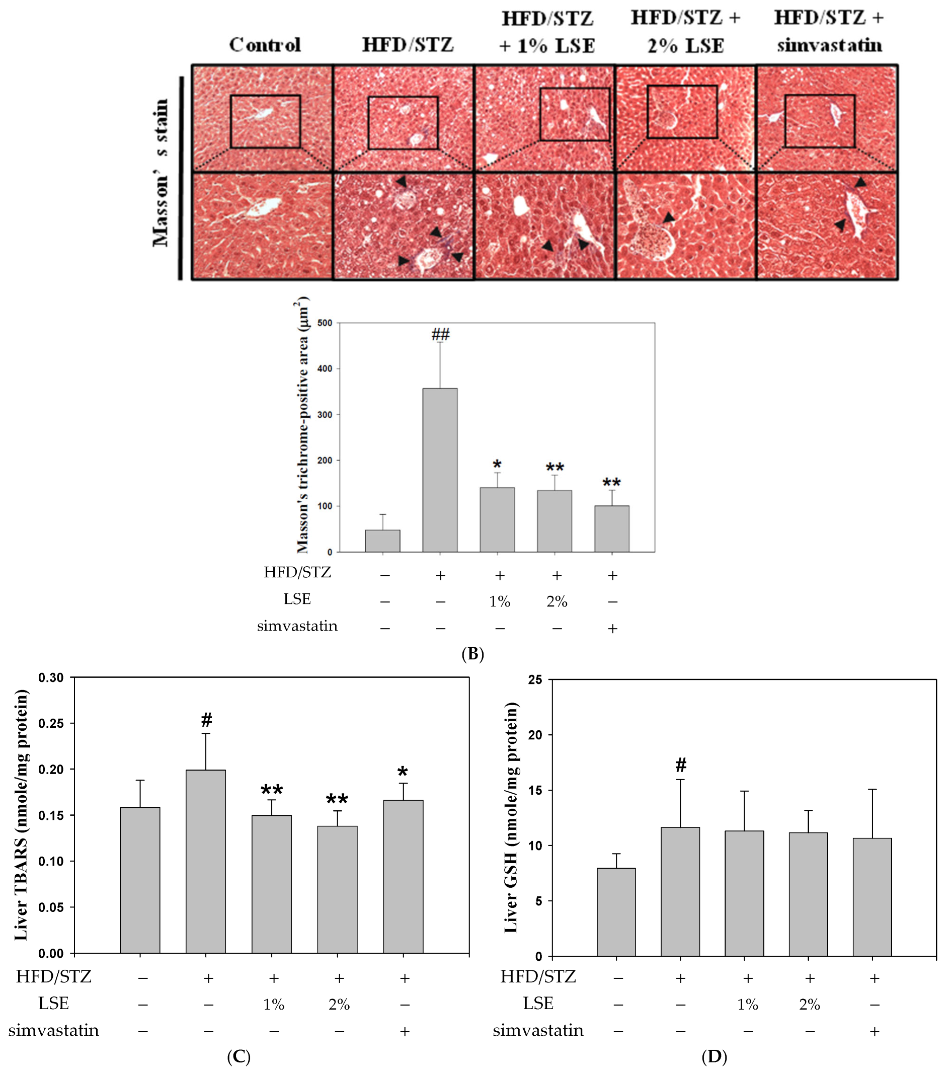 Antioxidants 14 00595 g003b