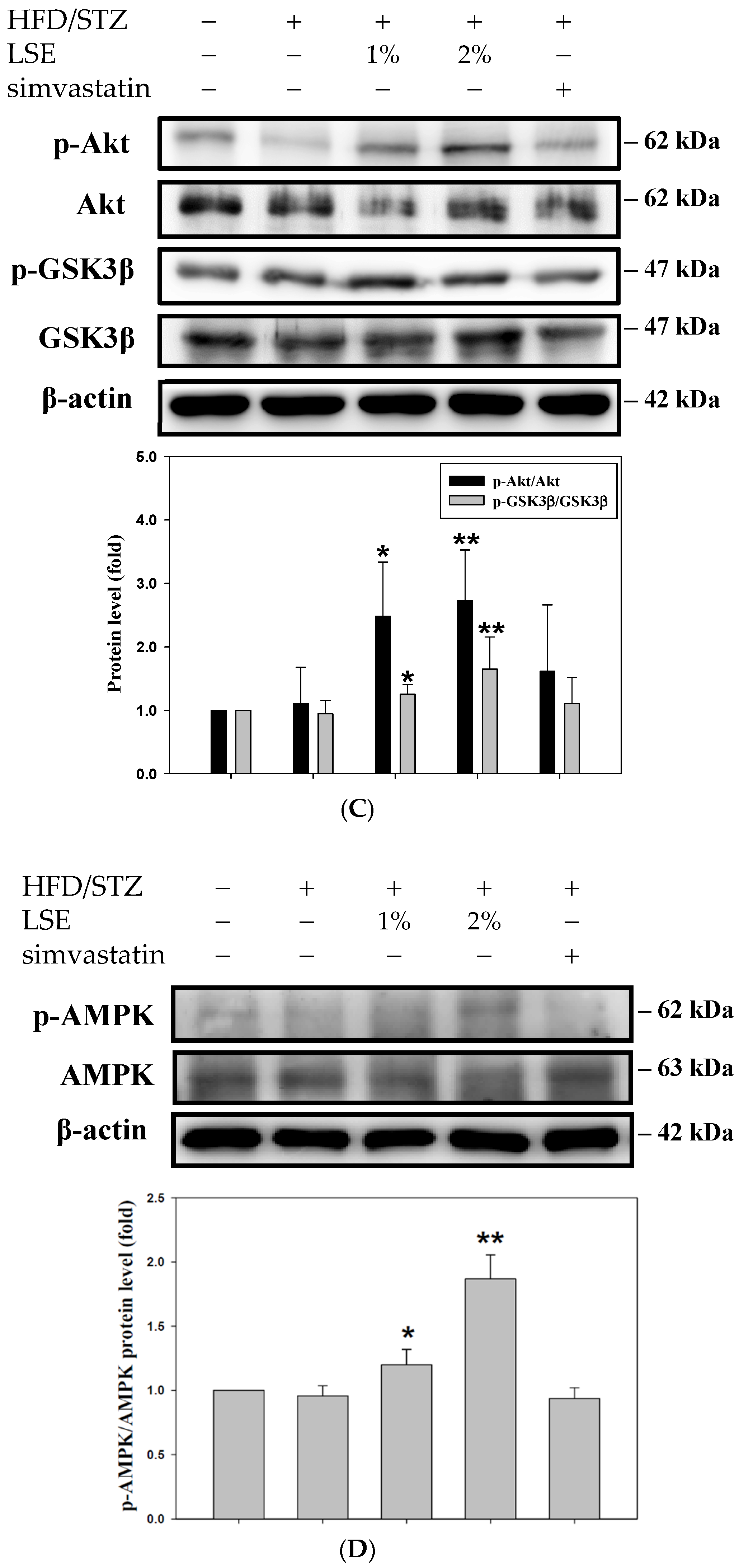 Antioxidants 14 00595 g004b
