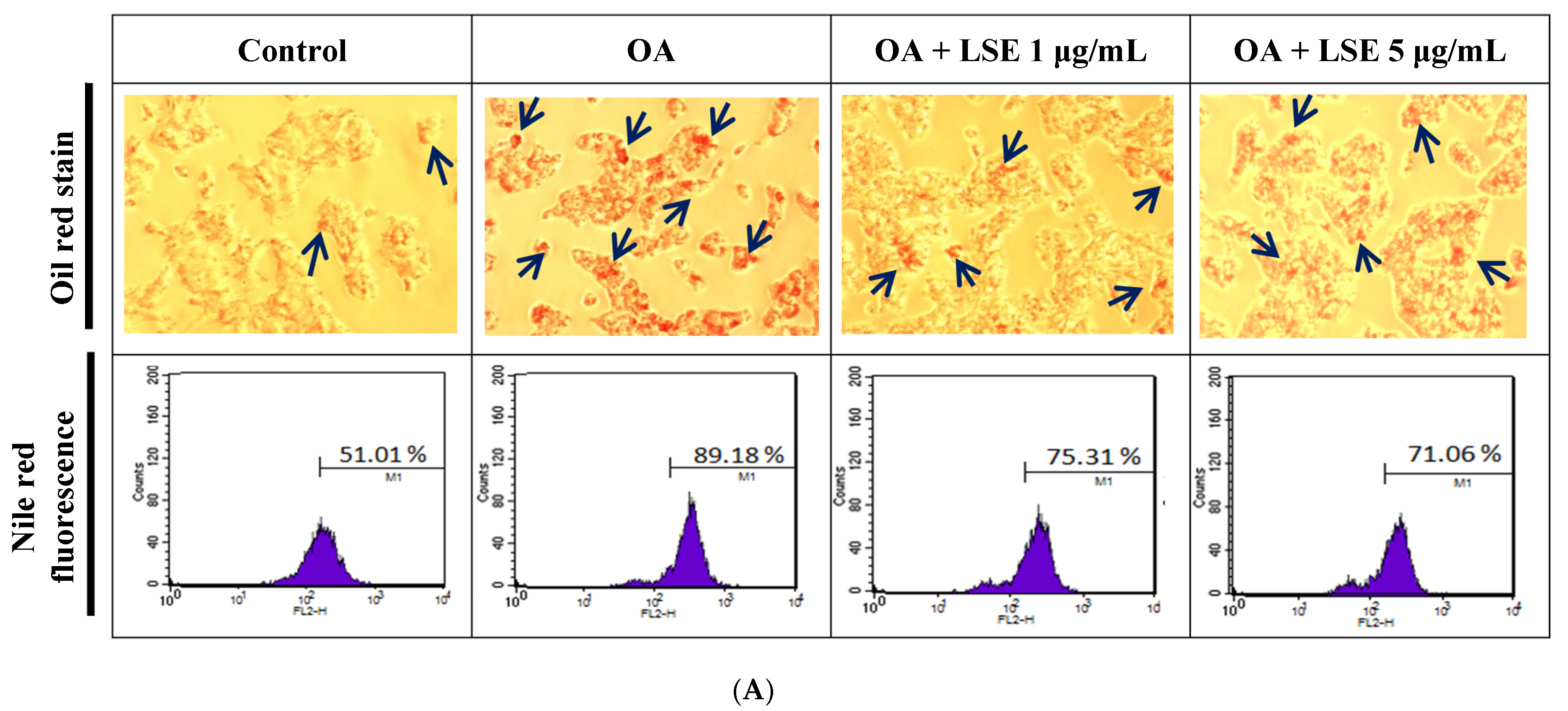 Antioxidants 14 00595 g005a