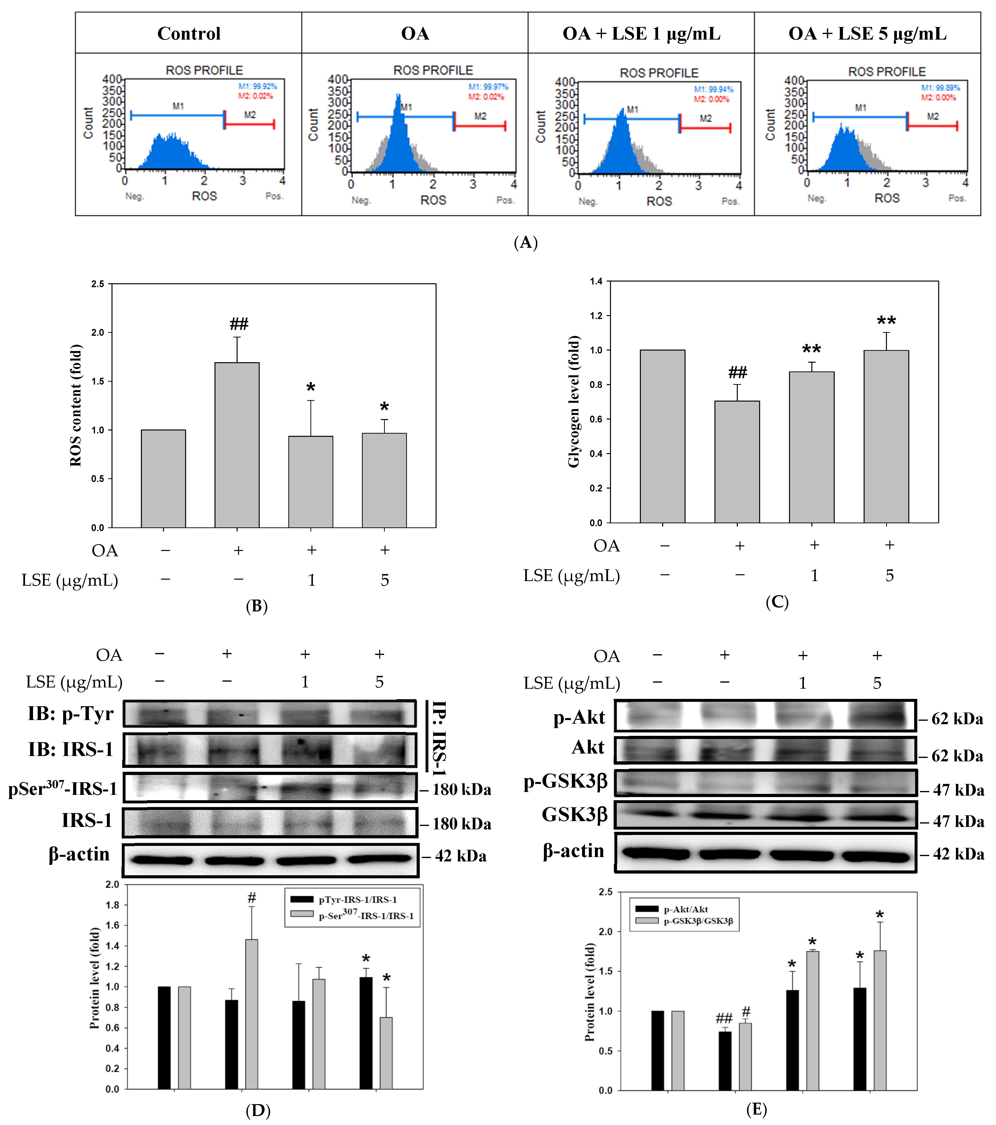 Antioxidants 14 00595 g006a