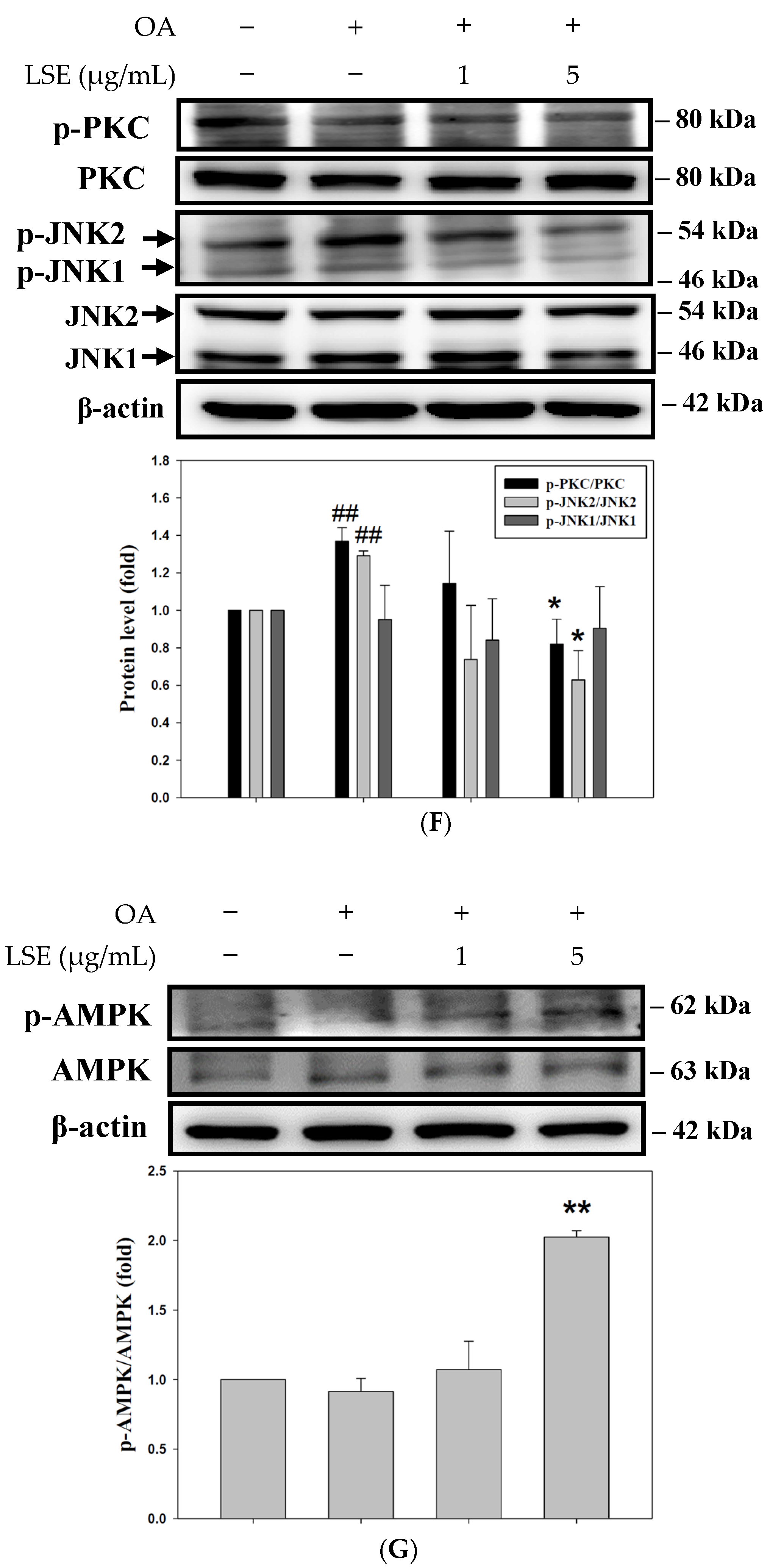 Antioxidants 14 00595 g006b