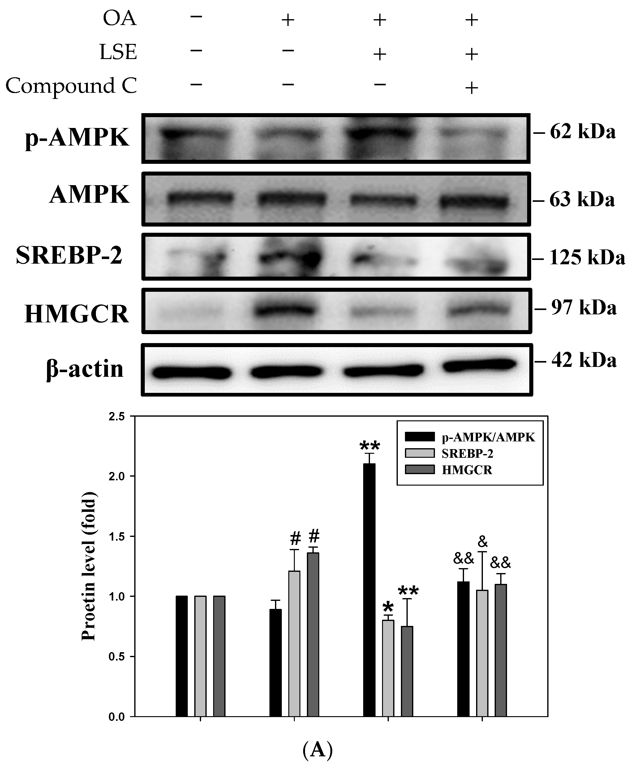 Antioxidants 14 00595 g007a