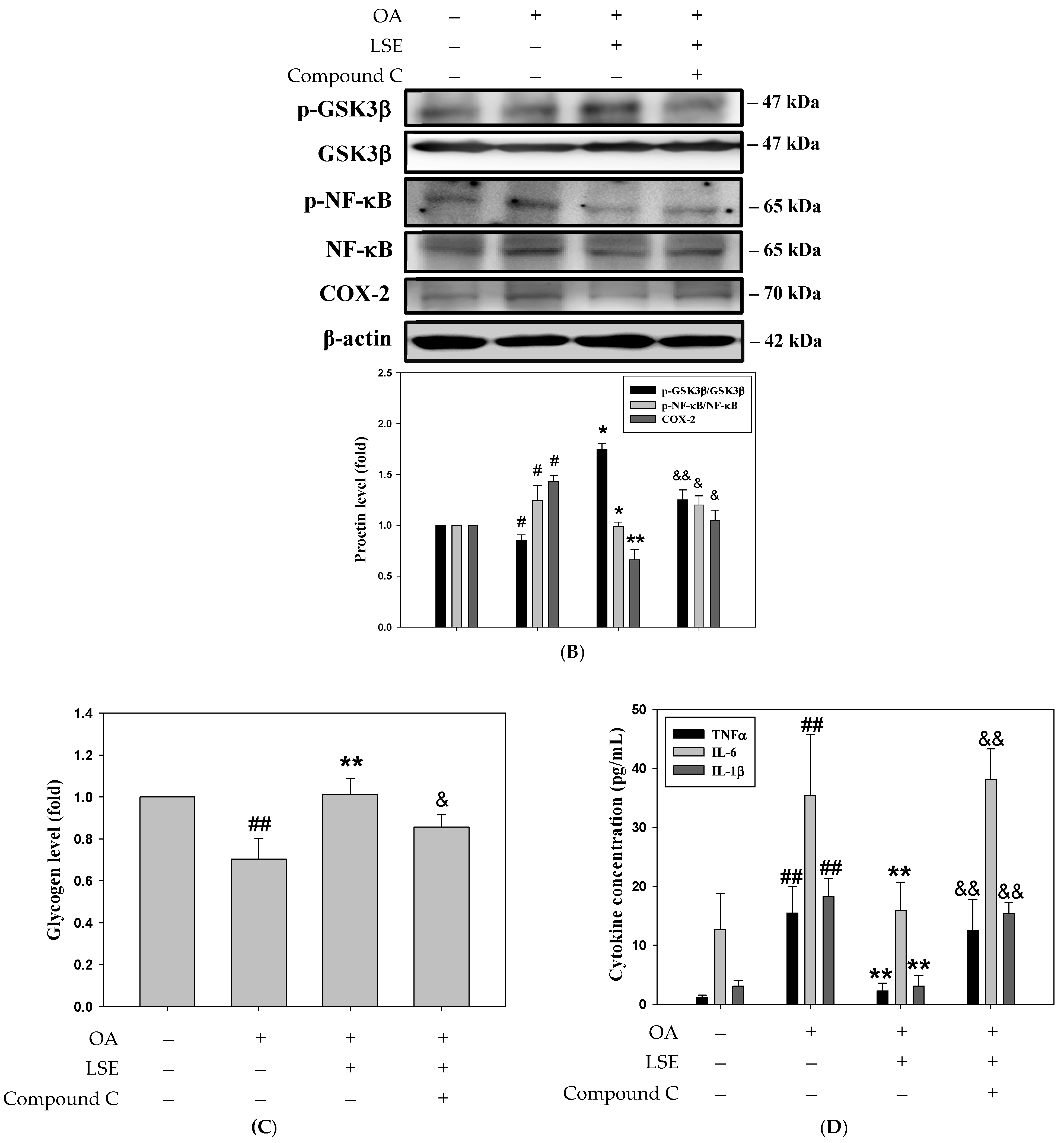 Antioxidants 14 00595 g007b