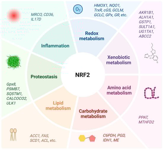 Antioxidants 14 00596 g003