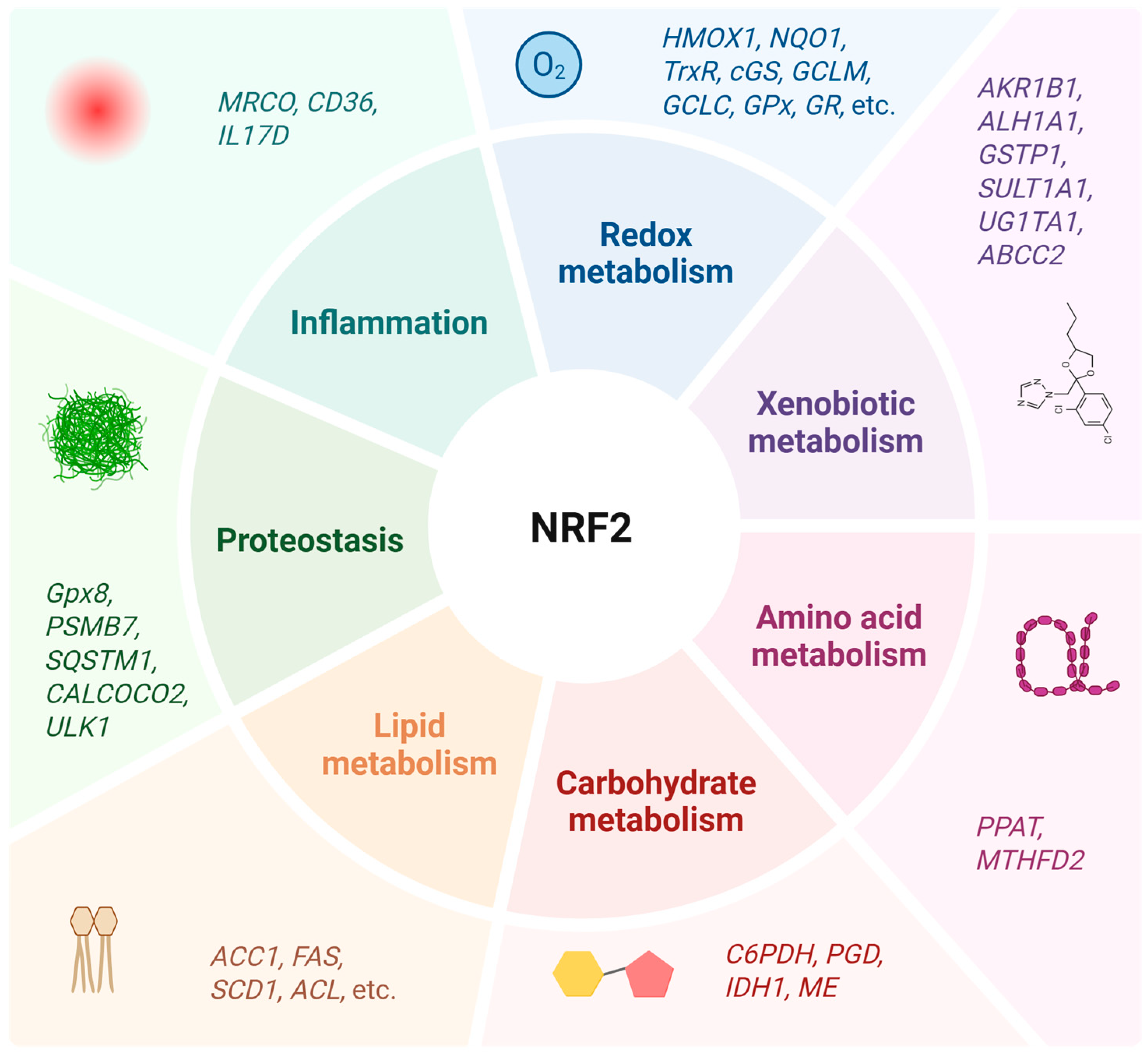 Antioxidants 14 00596 g003 Antioxidants 14 00596 g003