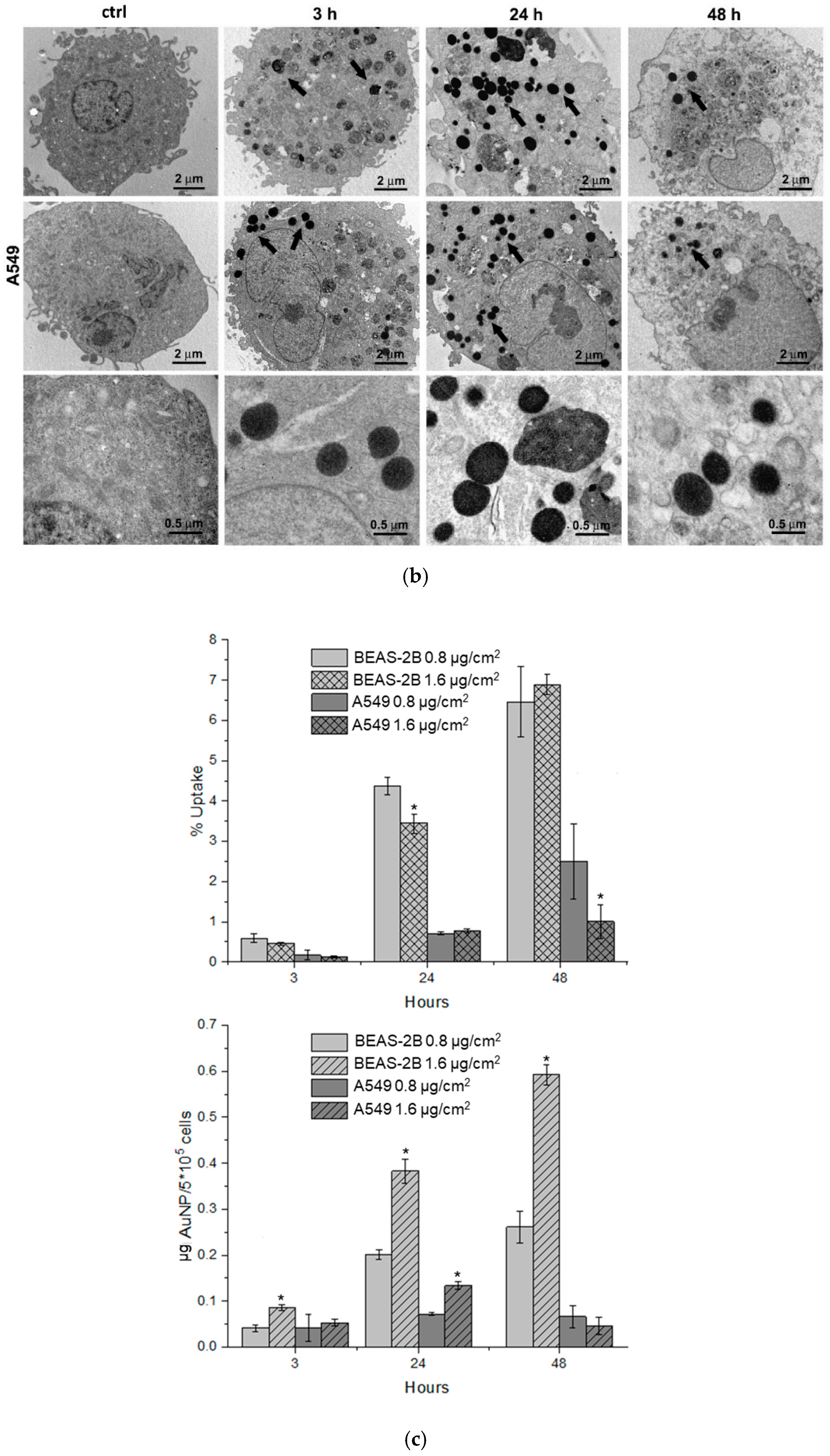 Antioxidants 14 00597 g001b
