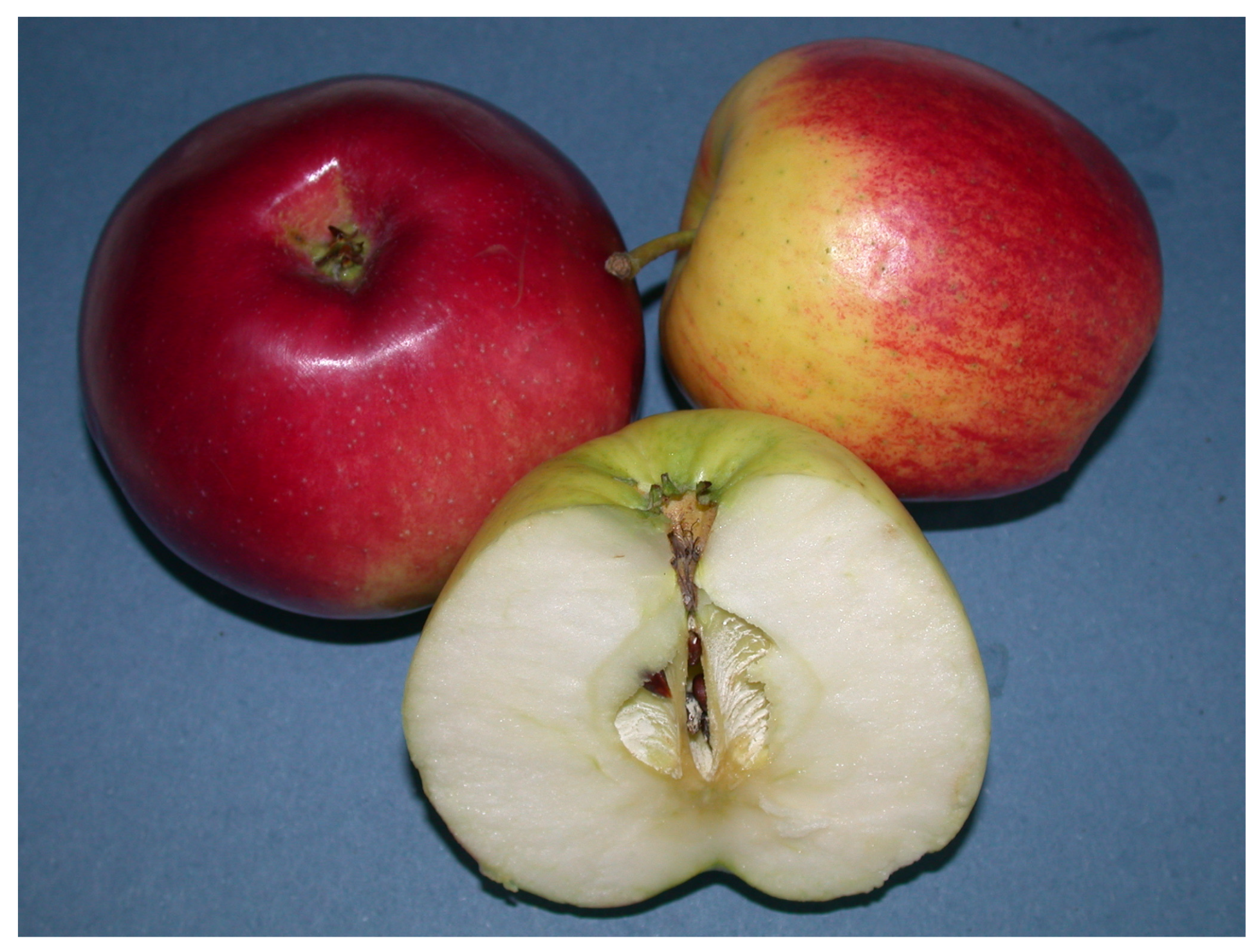 Antioxidants 14 00598 g005