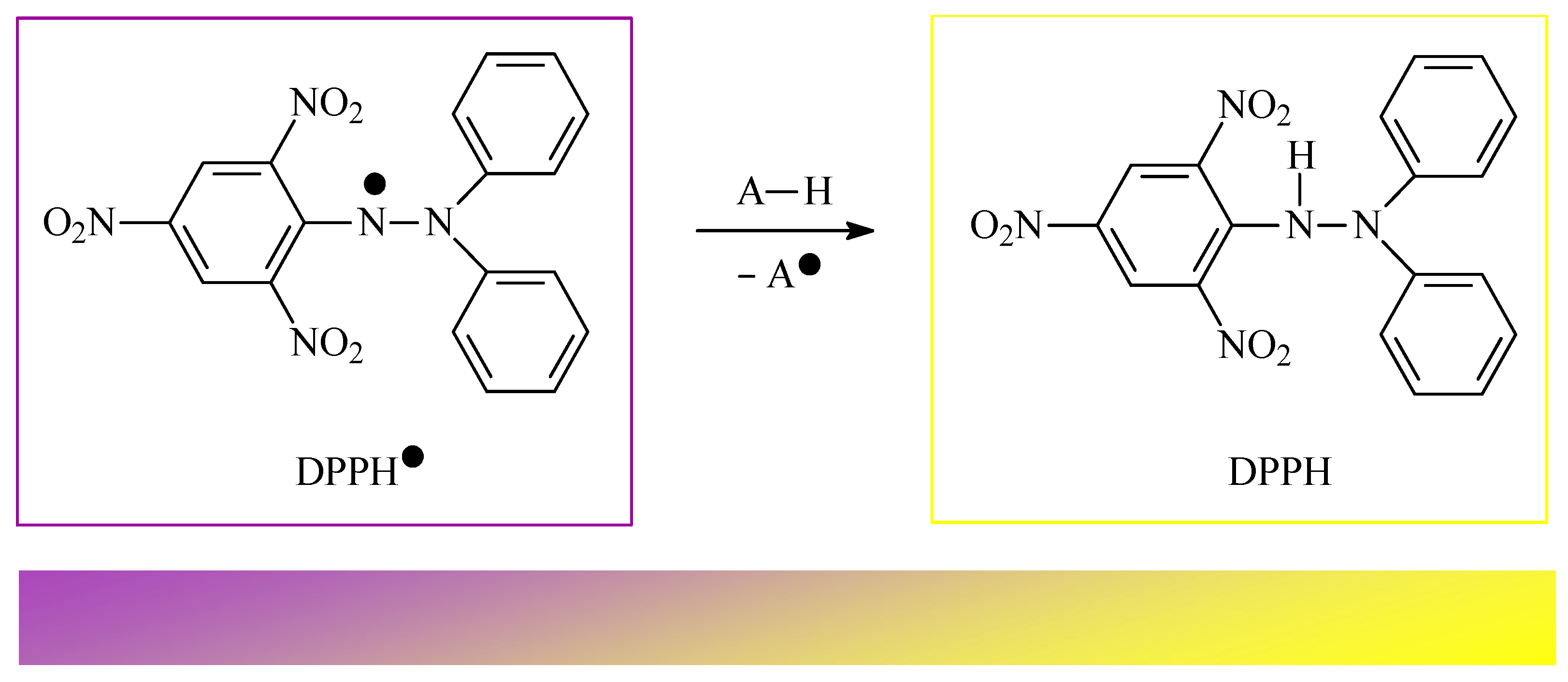 Antioxidants 14 00598 g007