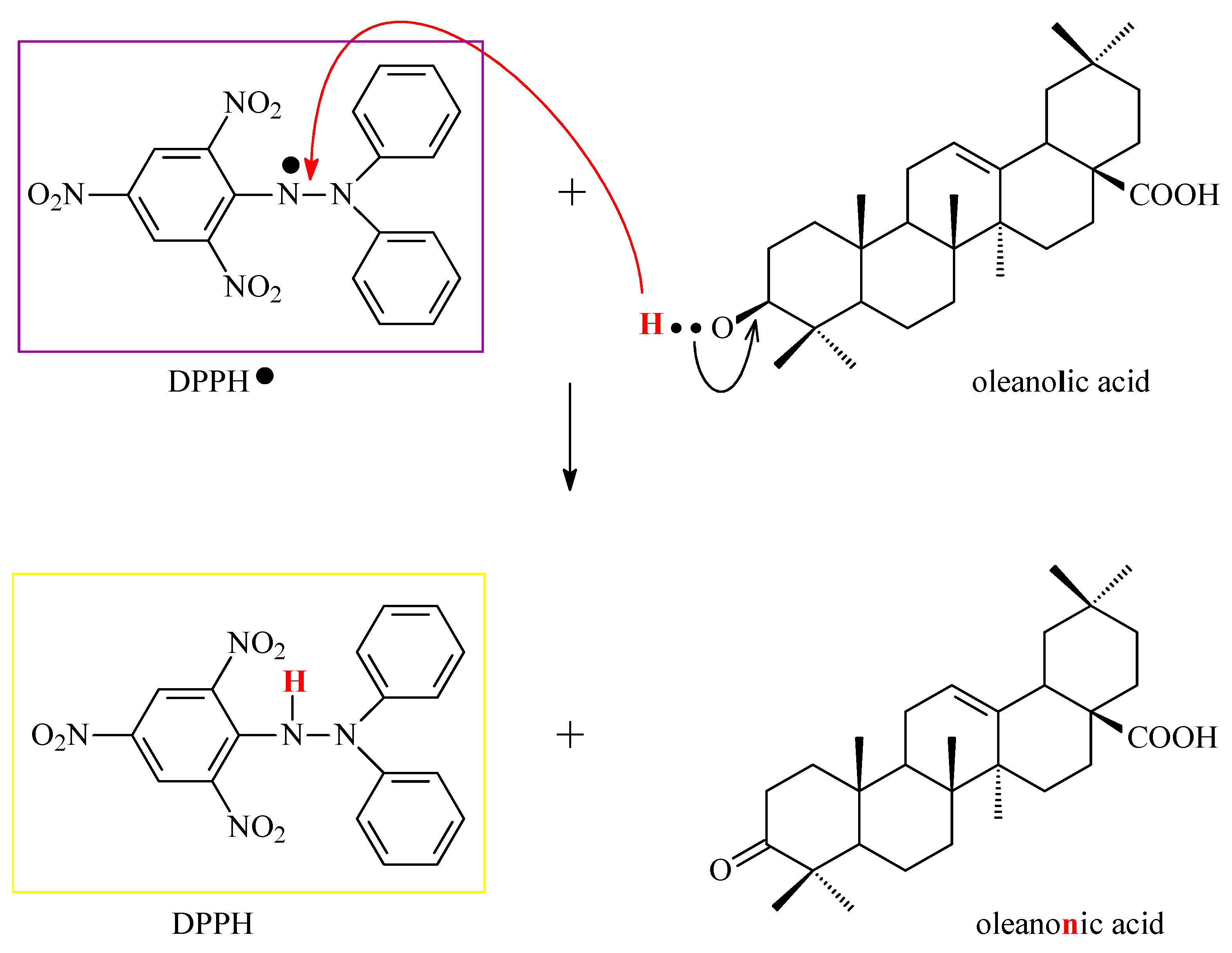Antioxidants 14 00598 g011