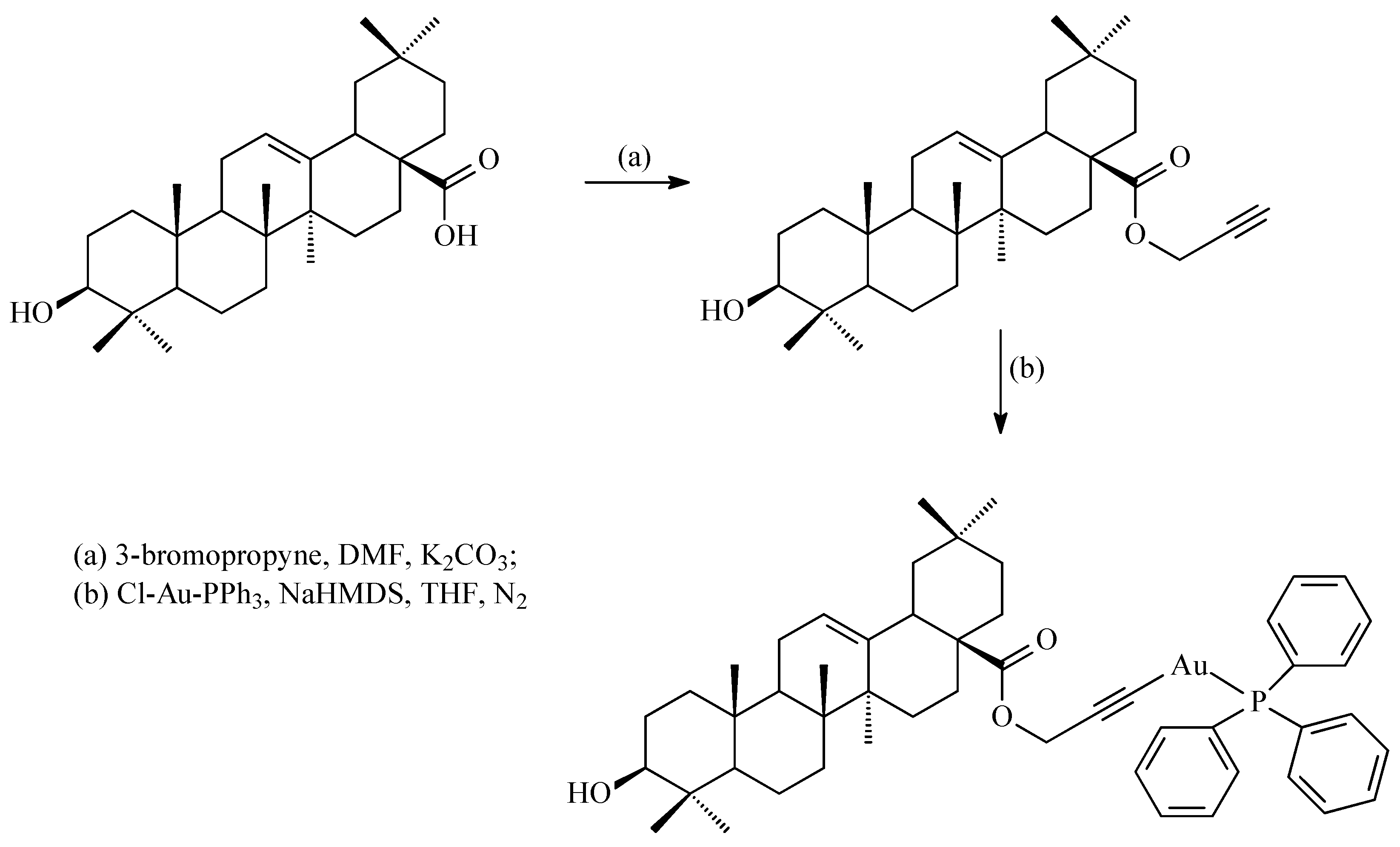 Antioxidants 14 00598 g012