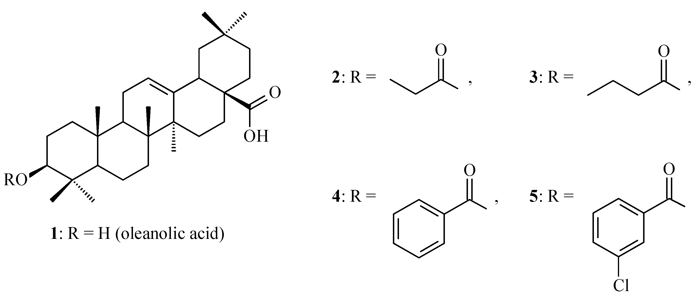 Antioxidants 14 00598 g013