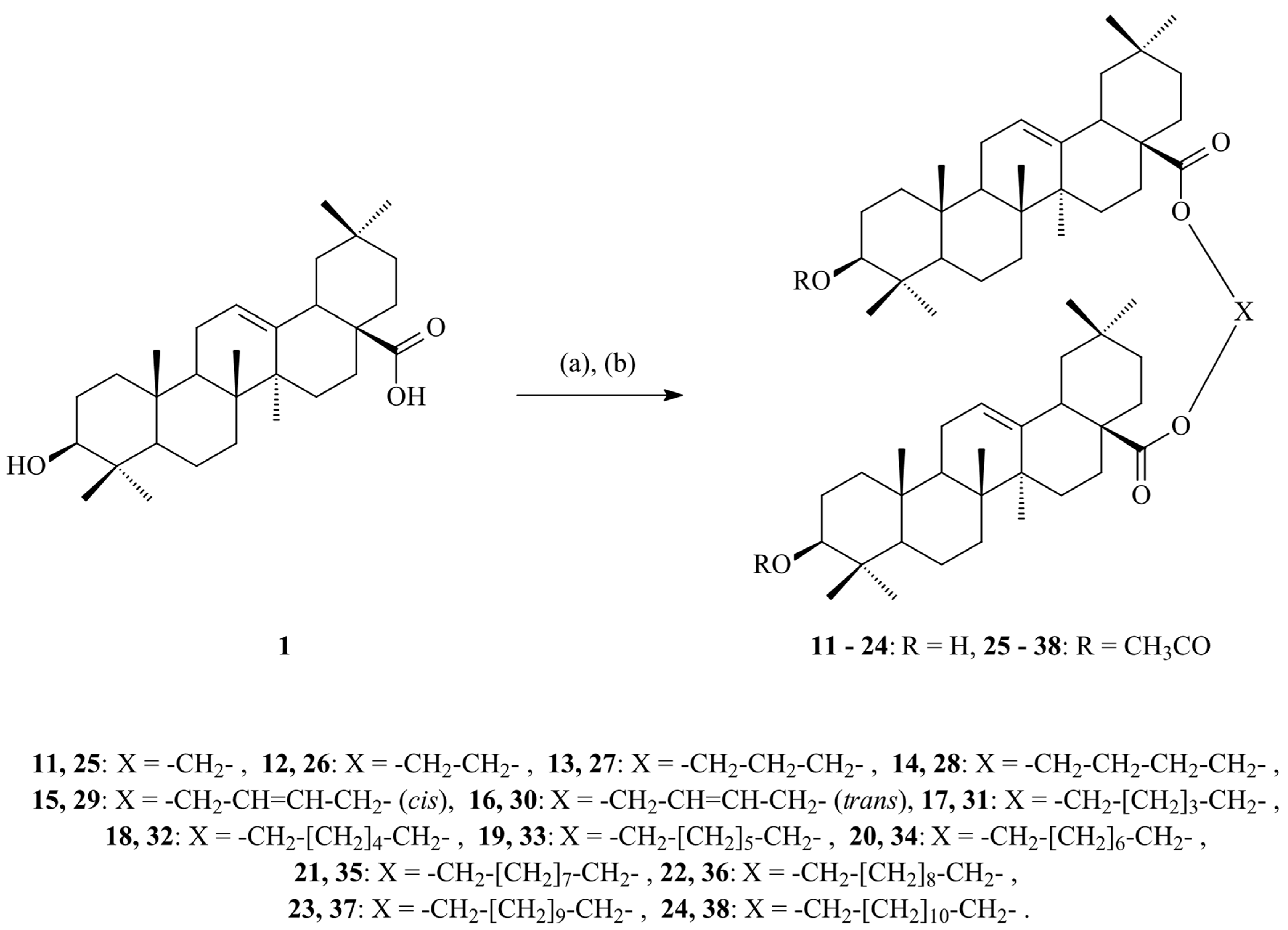 Antioxidants 14 00598 g016