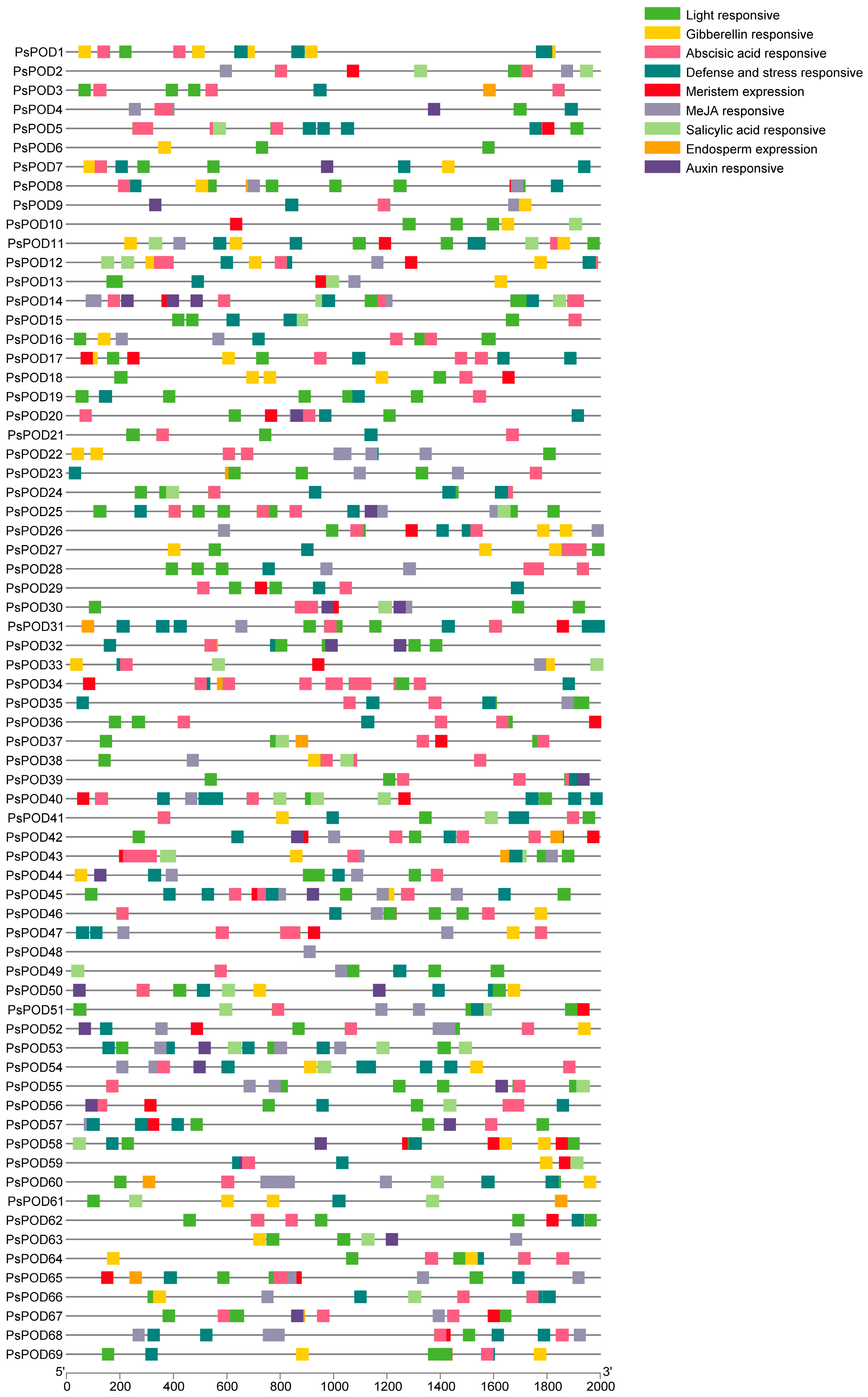 Antioxidants 14 00602 g003