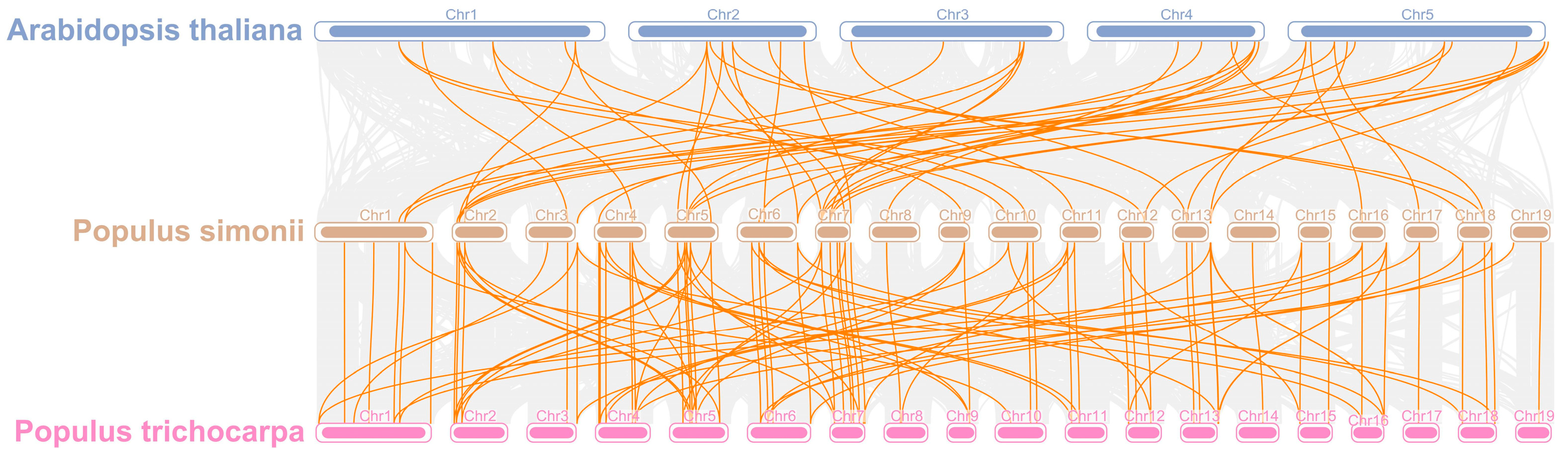 Antioxidants 14 00602 g005