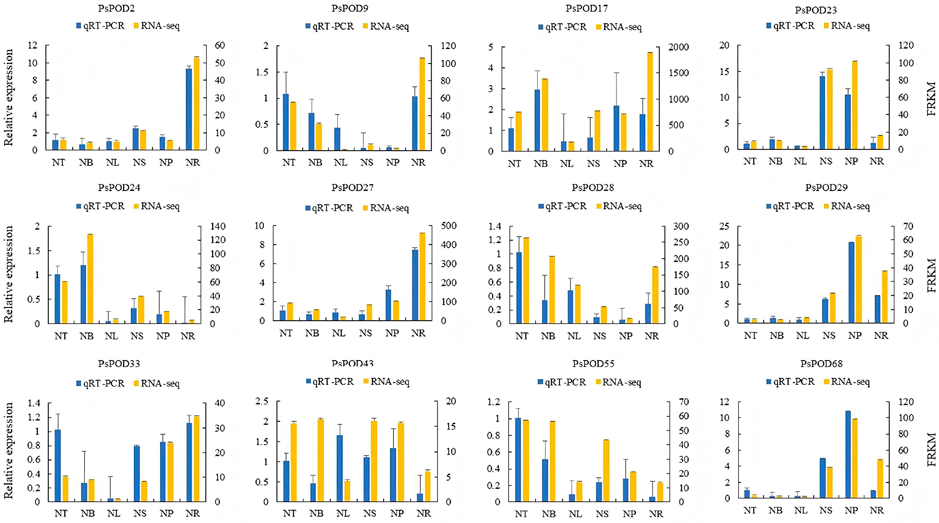 Antioxidants 14 00602 g007