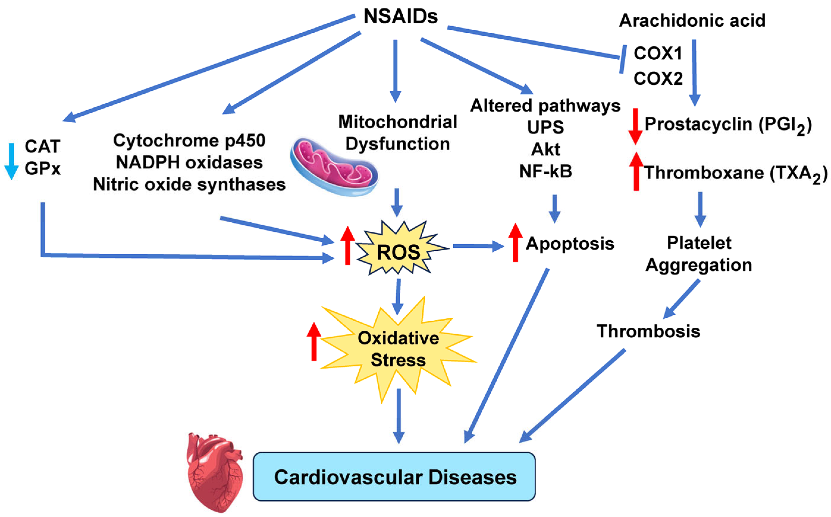 Antioxidants 14 00604 g007