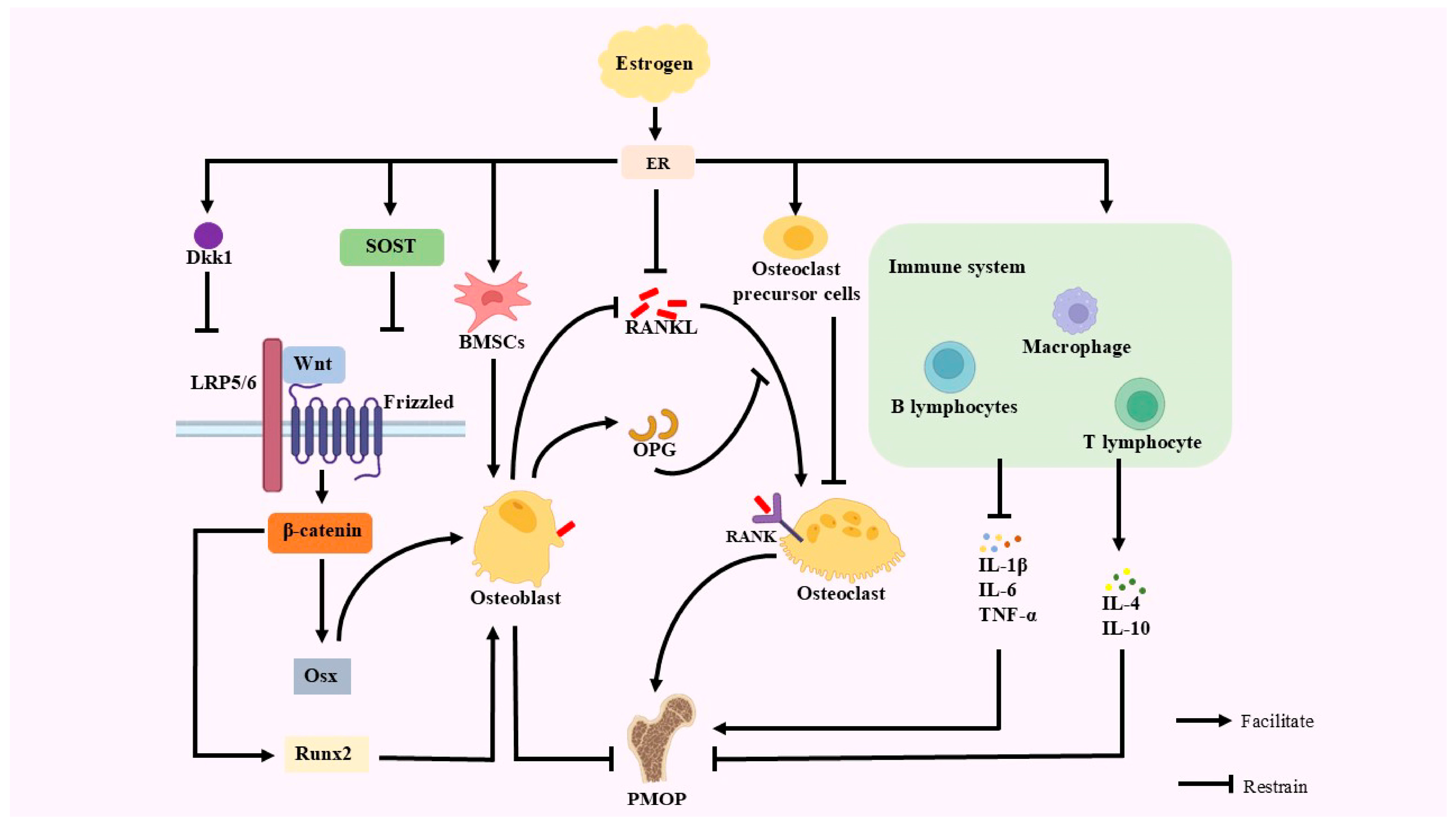 Antioxidants 14 00605 g001