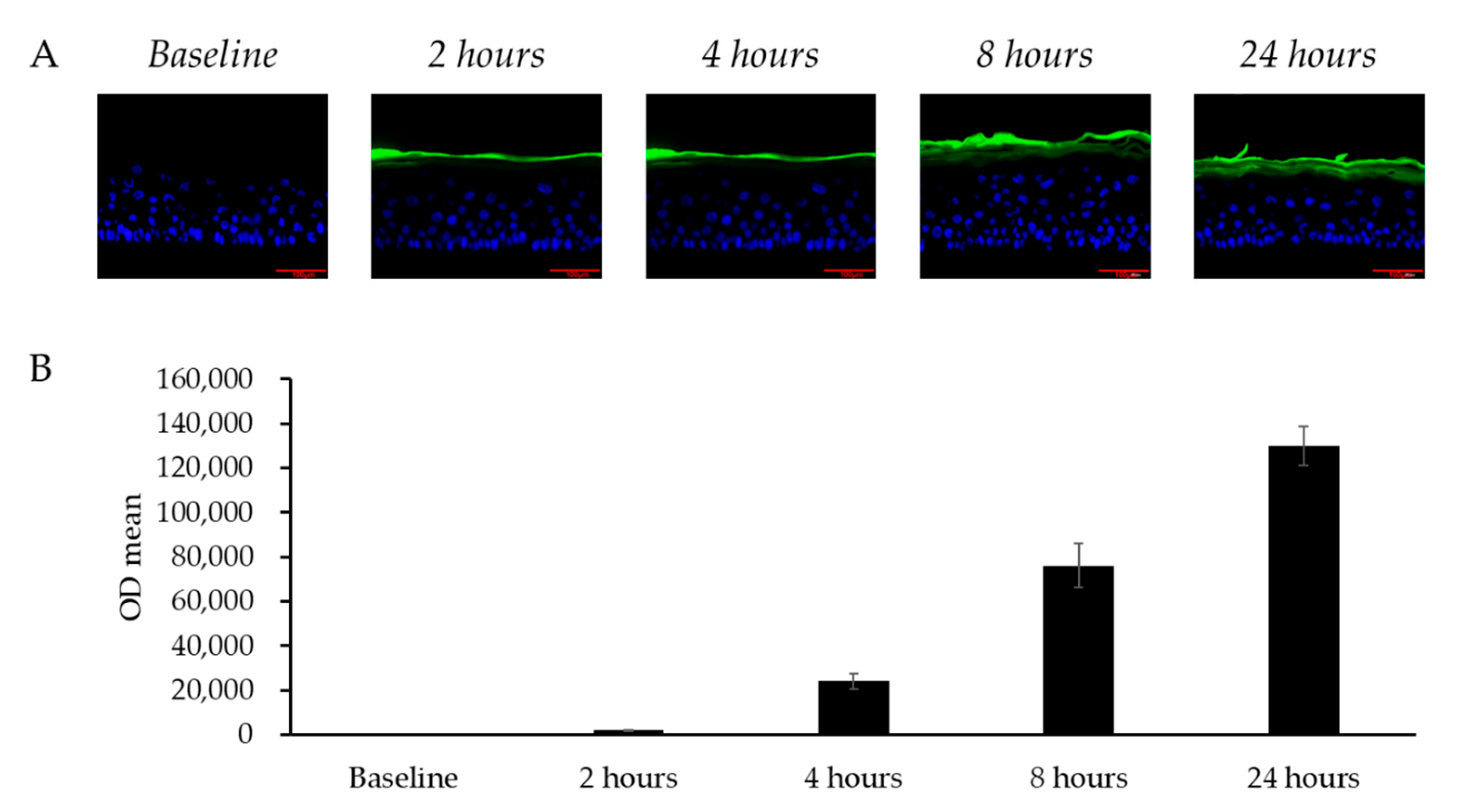Antioxidants 14 00606 g006 Antioxidants 14 00606 g006