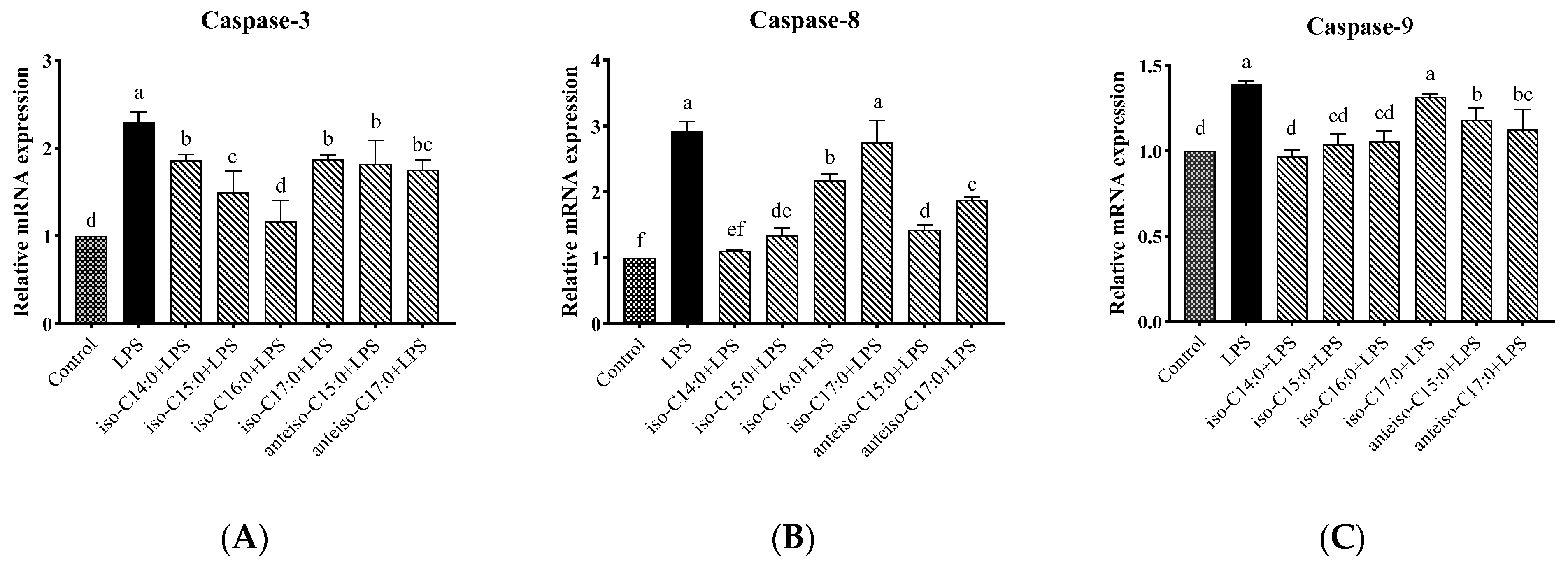 Antioxidants 14 00608 g012