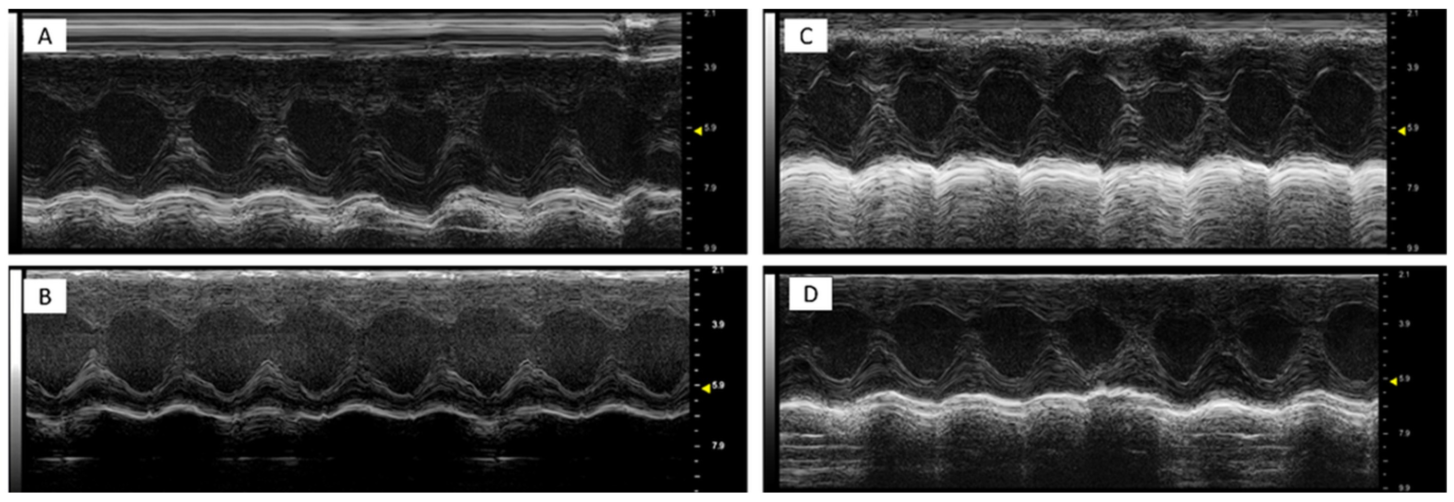 Antioxidants 14 00612 g001