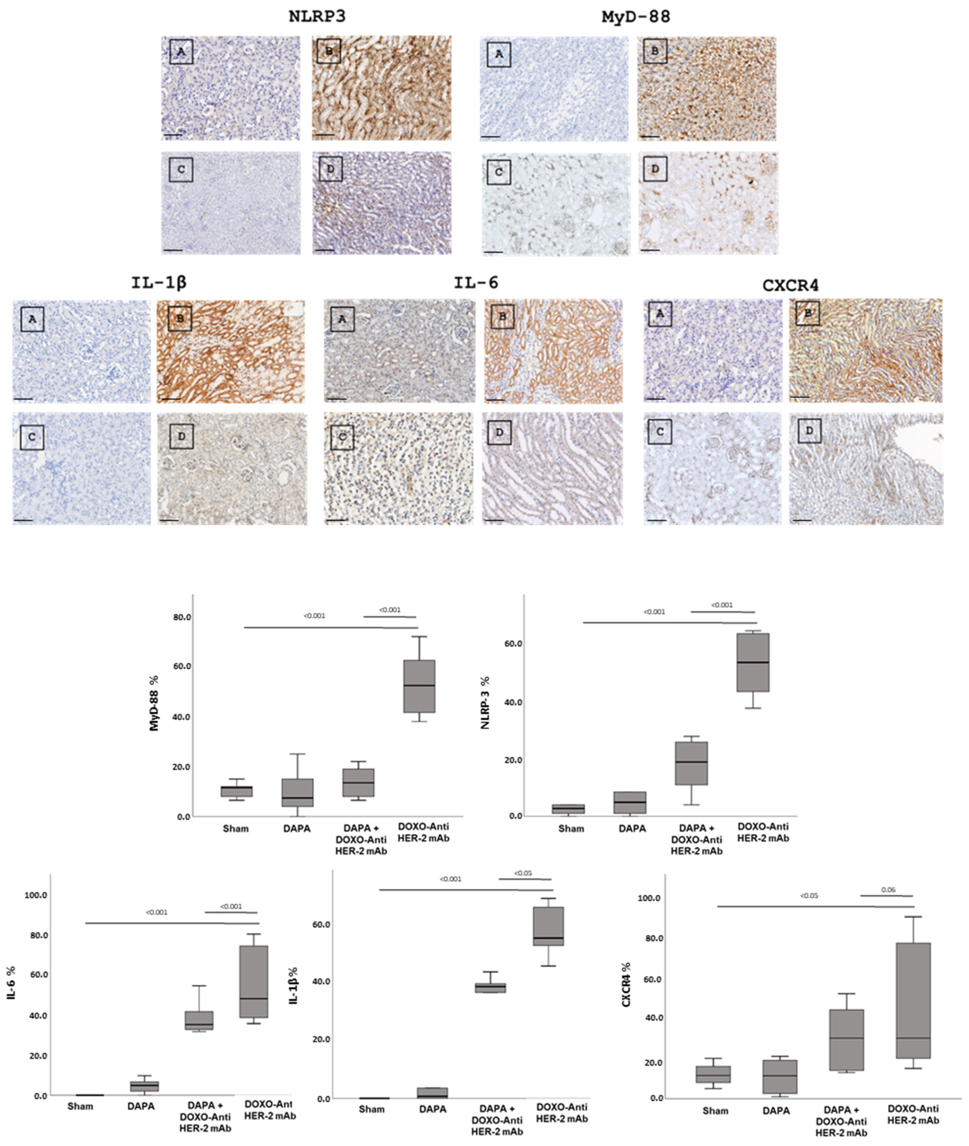 Antioxidants 14 00612 g005