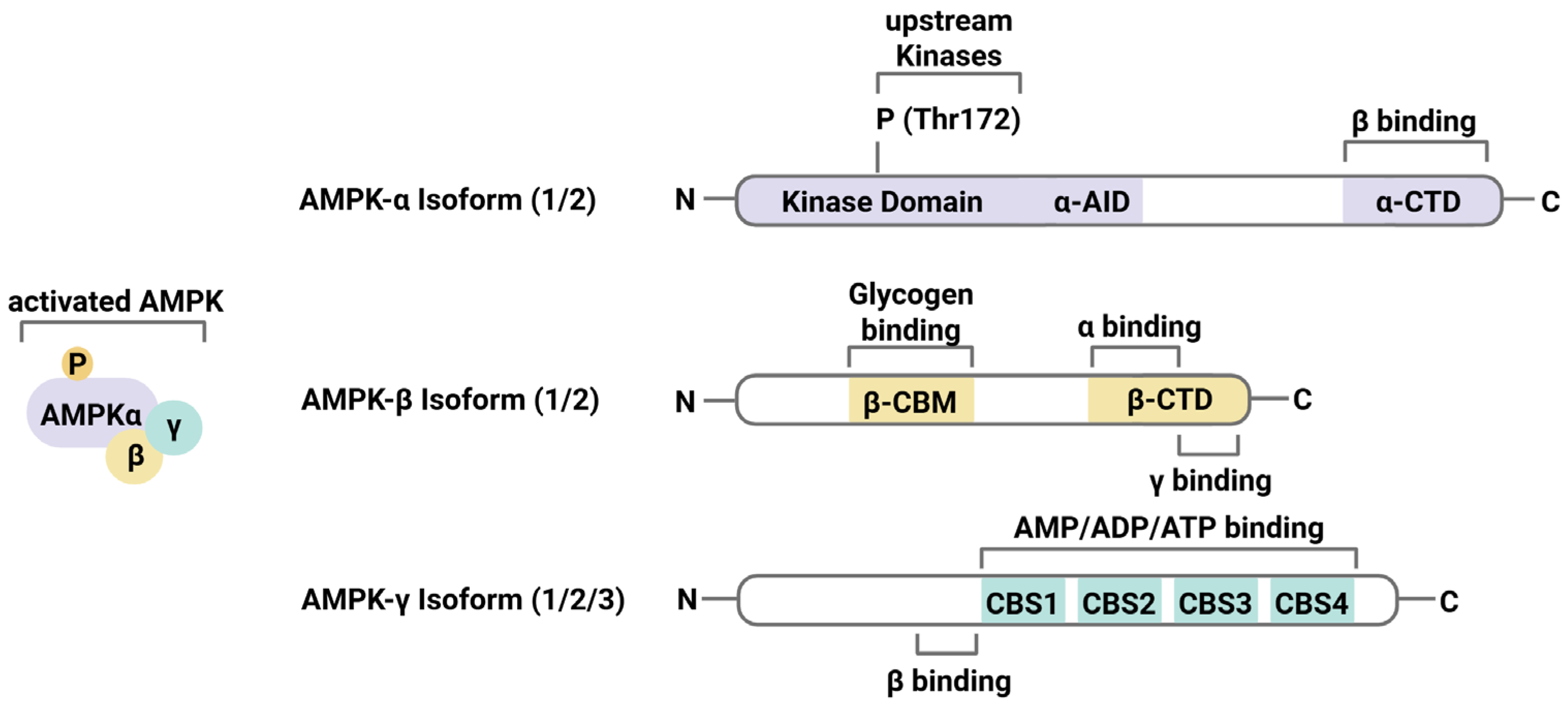 Antioxidants 14 00615 g001