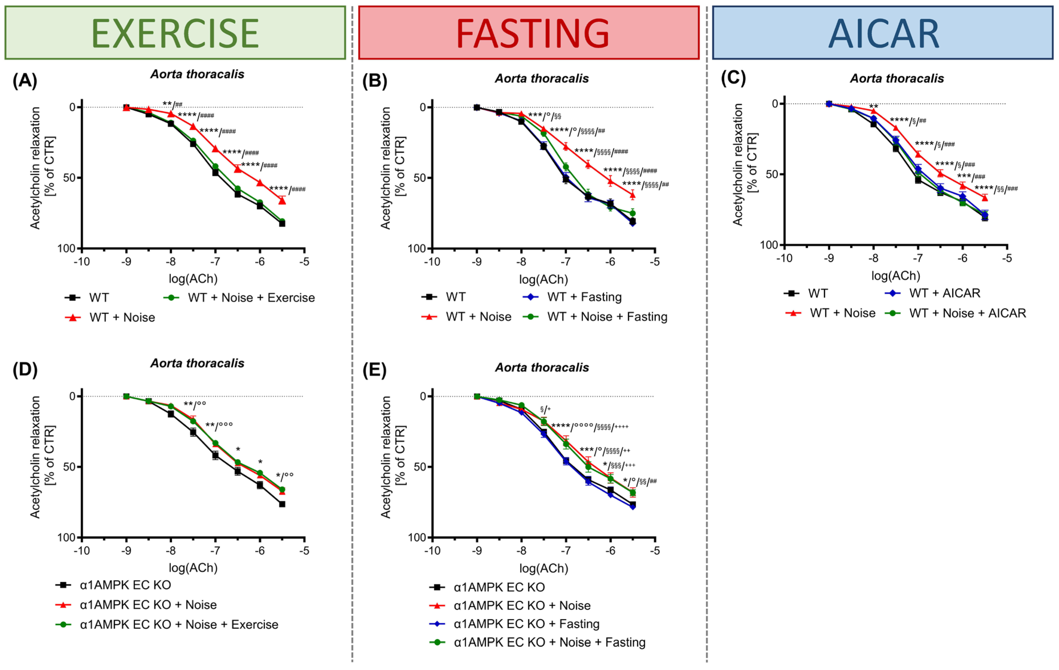 Antioxidants 14 00615 g004