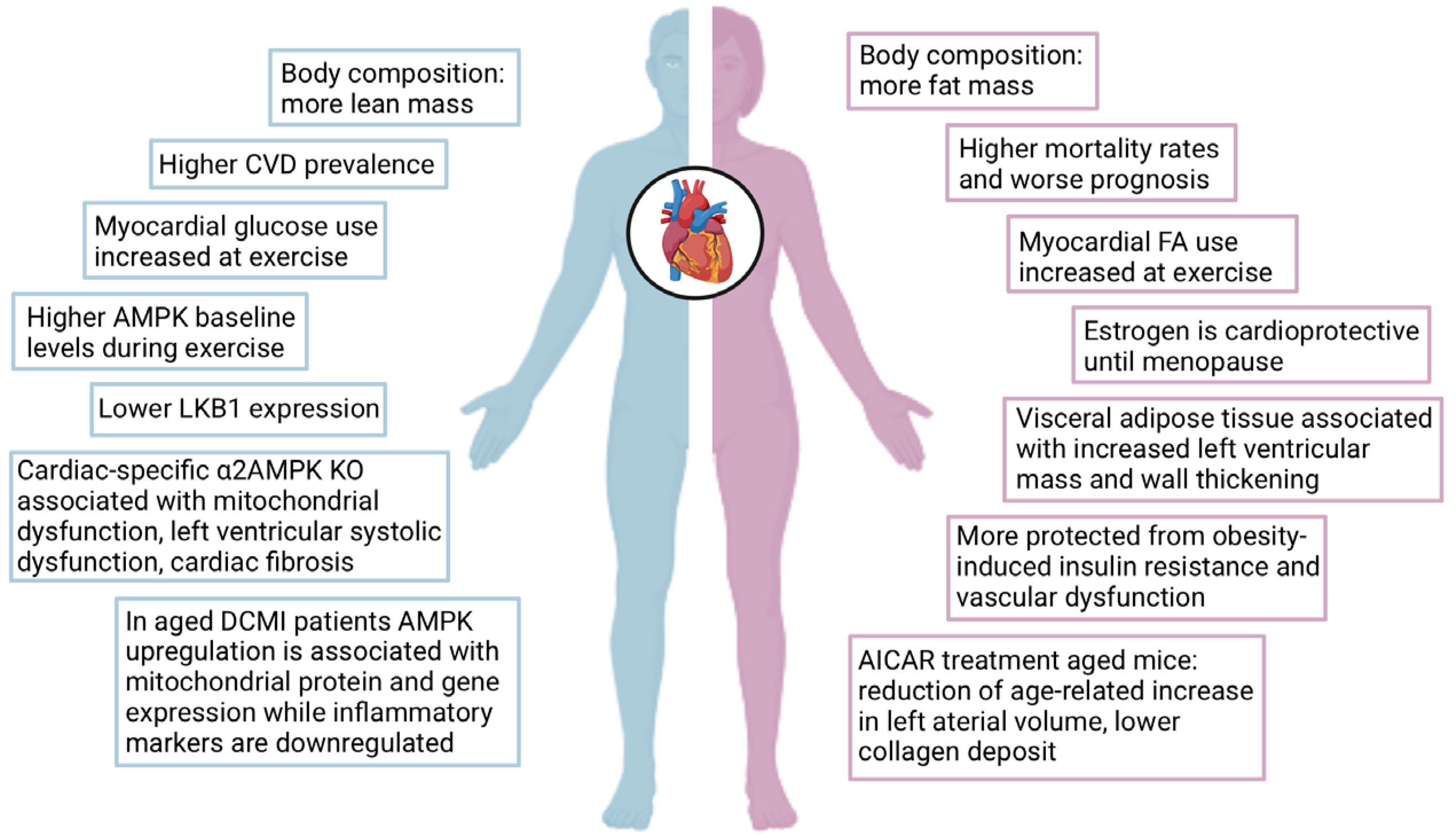 Antioxidants 14 00615 g005