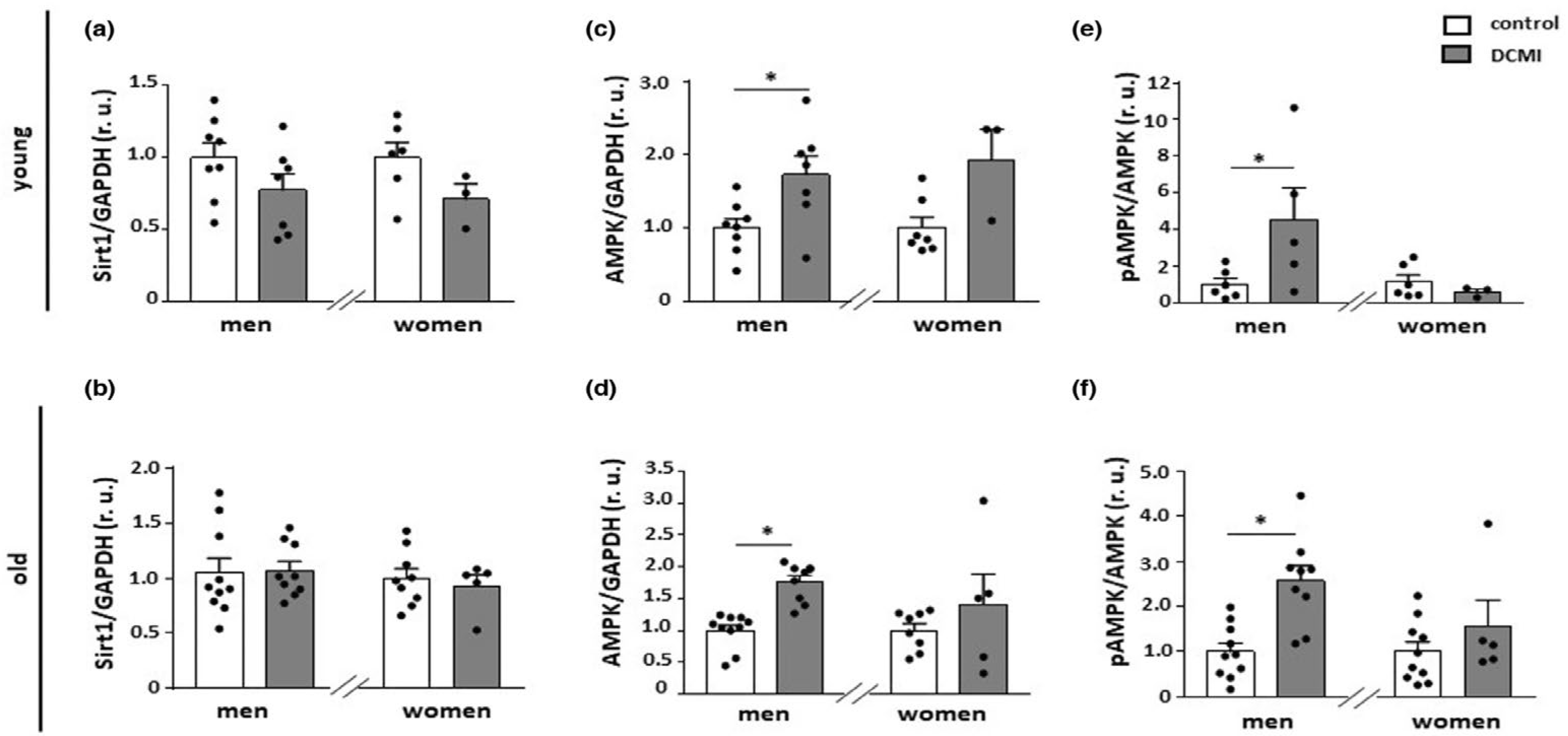 Antioxidants 14 00615 g006