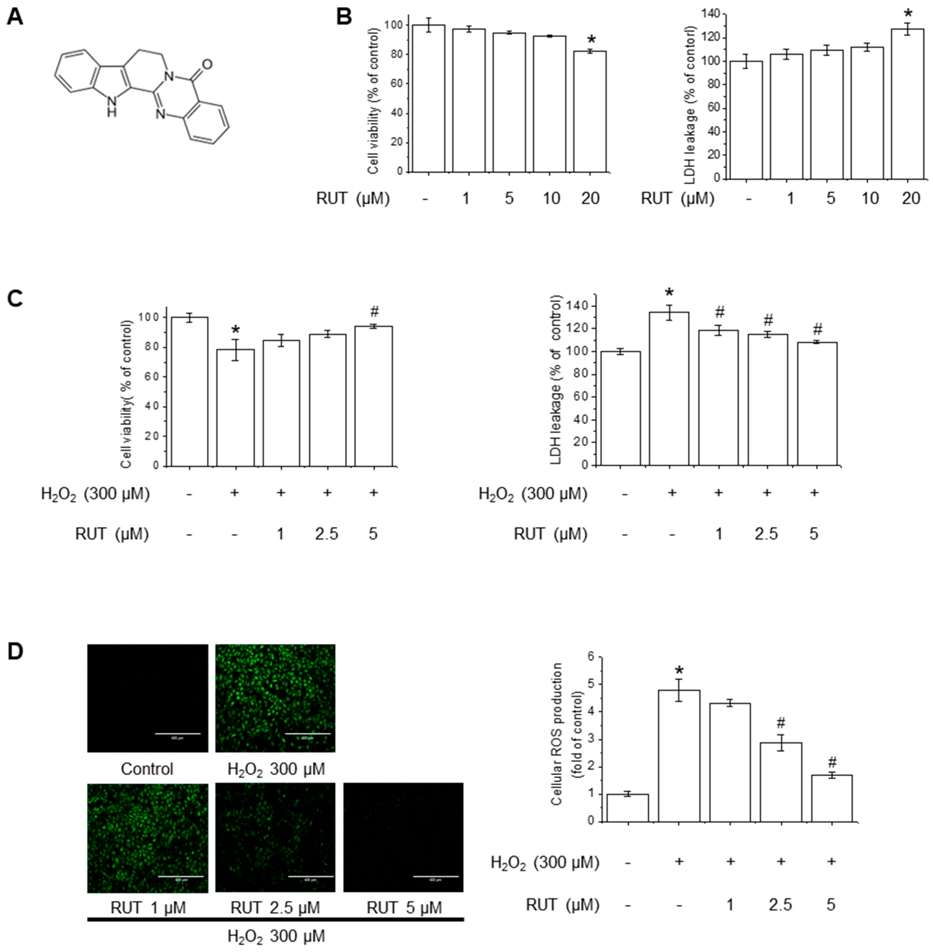 Antioxidants 14 00616 g001