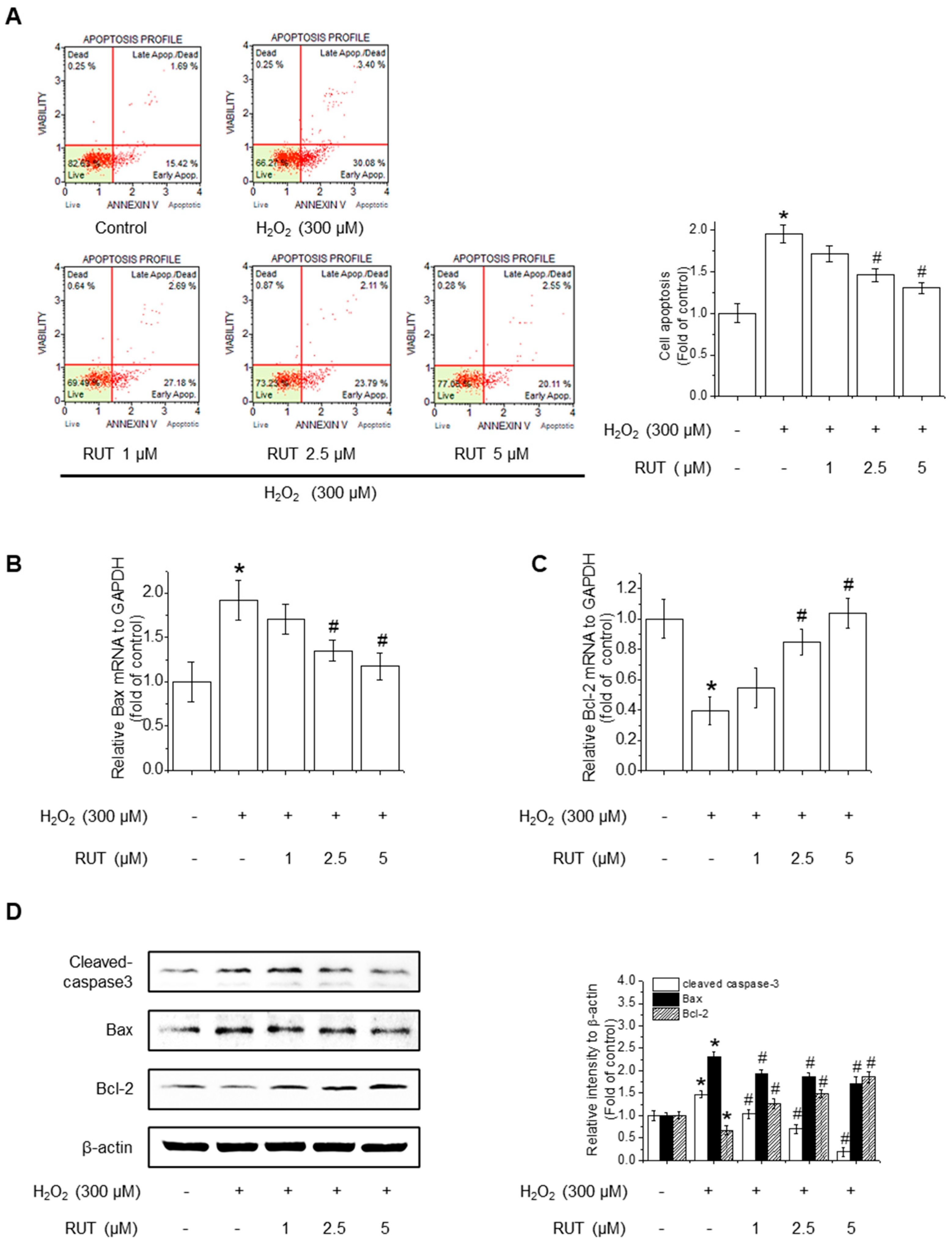 Antioxidants 14 00616 g002