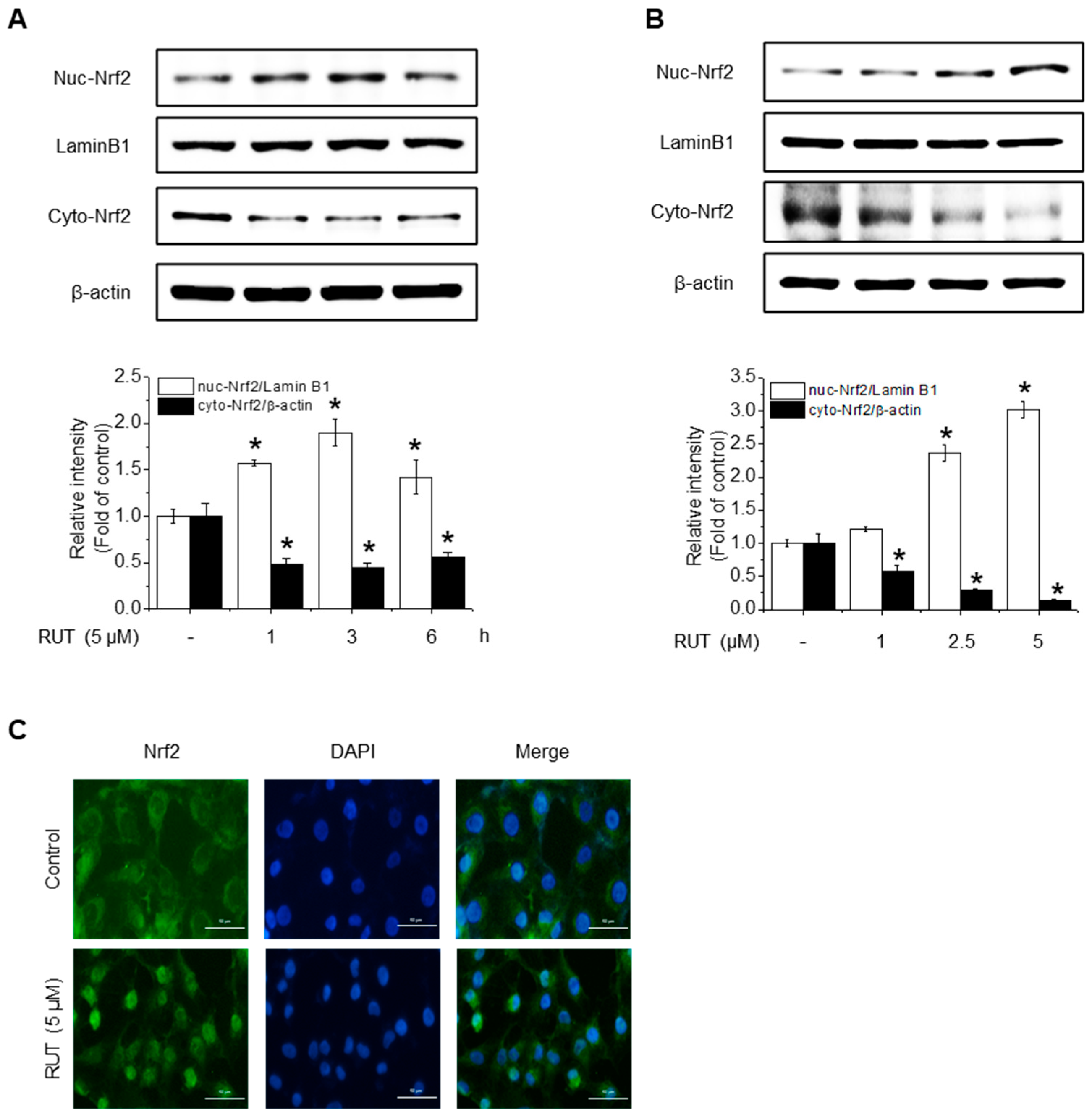 Antioxidants 14 00616 g004a