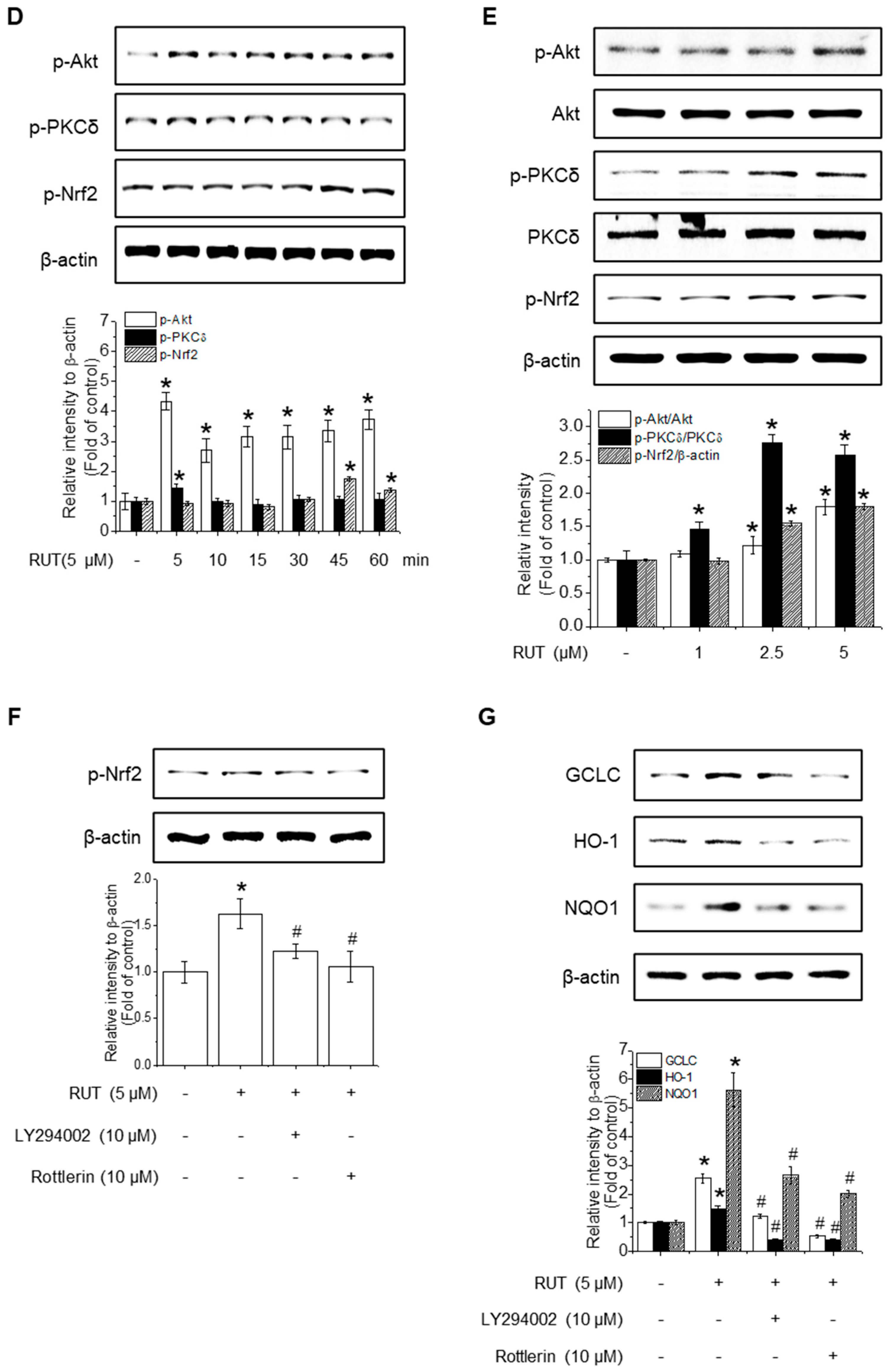 Antioxidants 14 00616 g004b