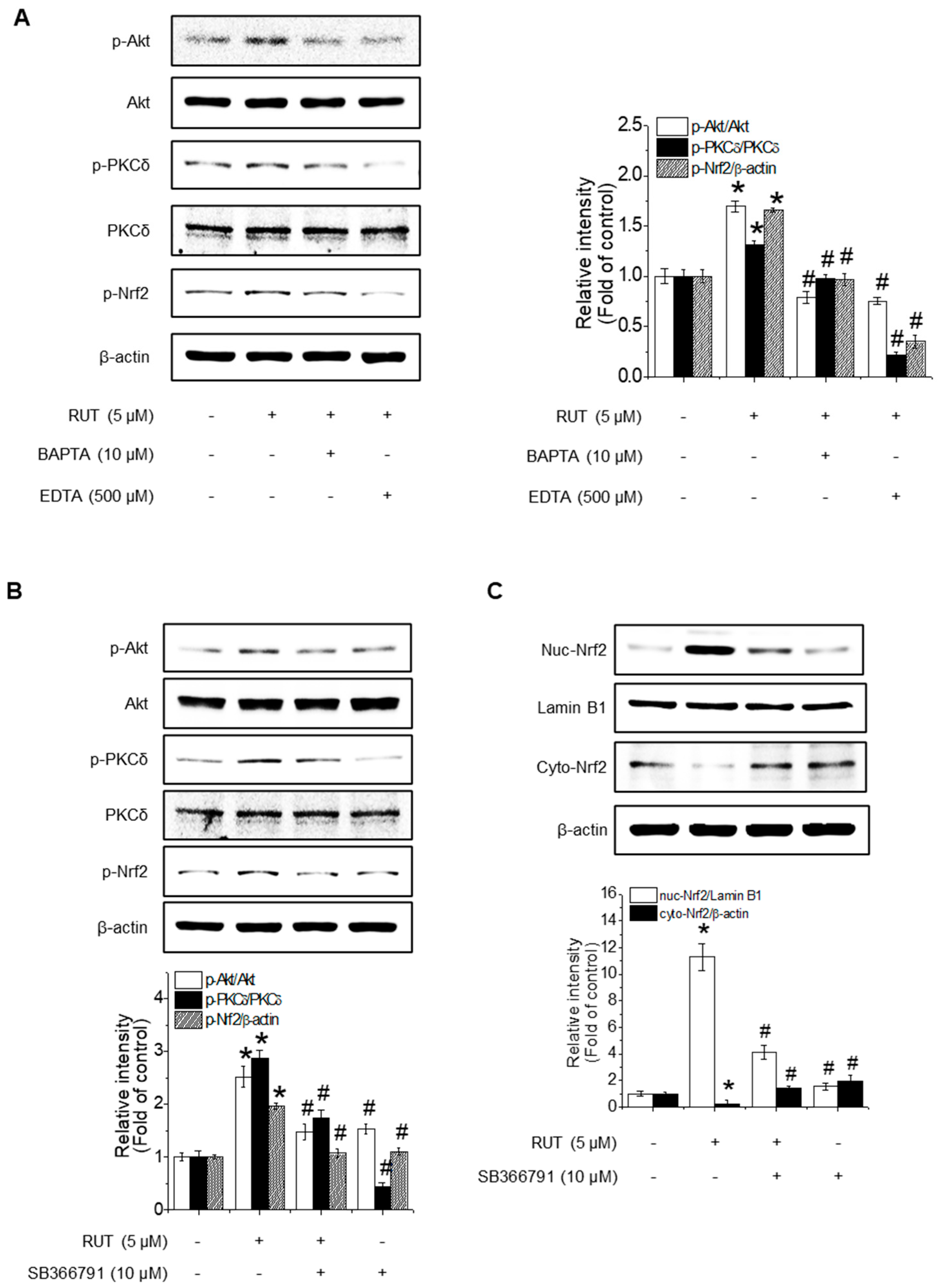 Antioxidants 14 00616 g005