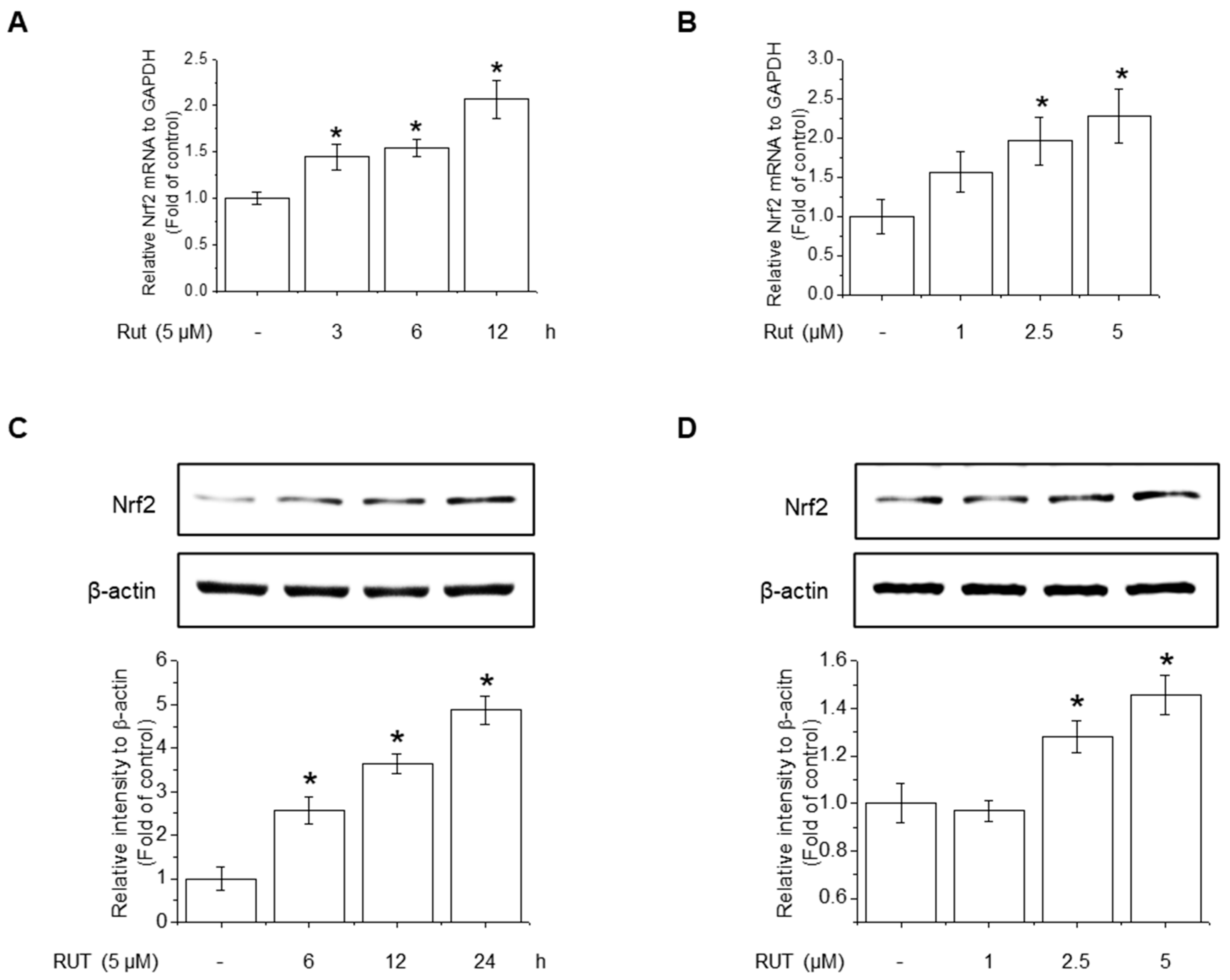 Antioxidants 14 00616 g006