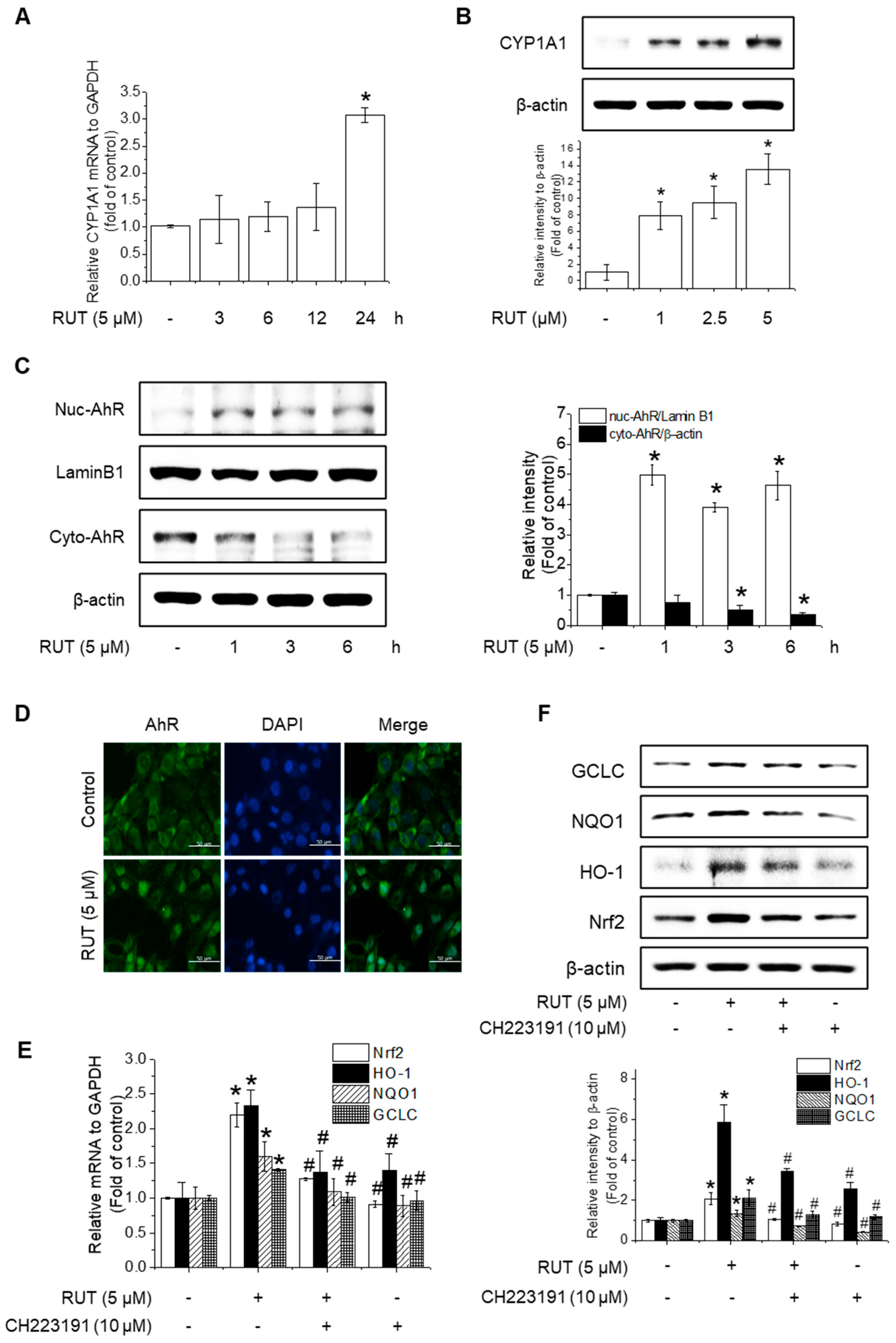 Antioxidants 14 00616 g007