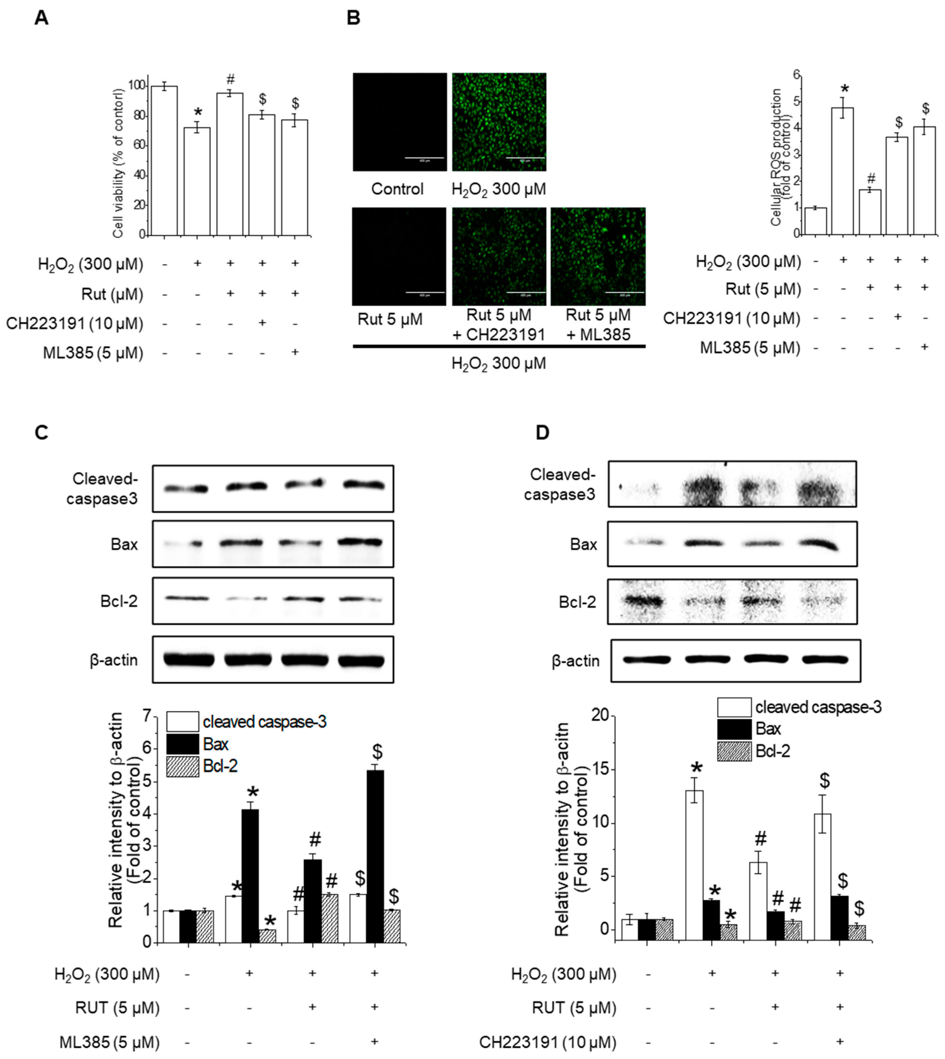 Antioxidants 14 00616 g008