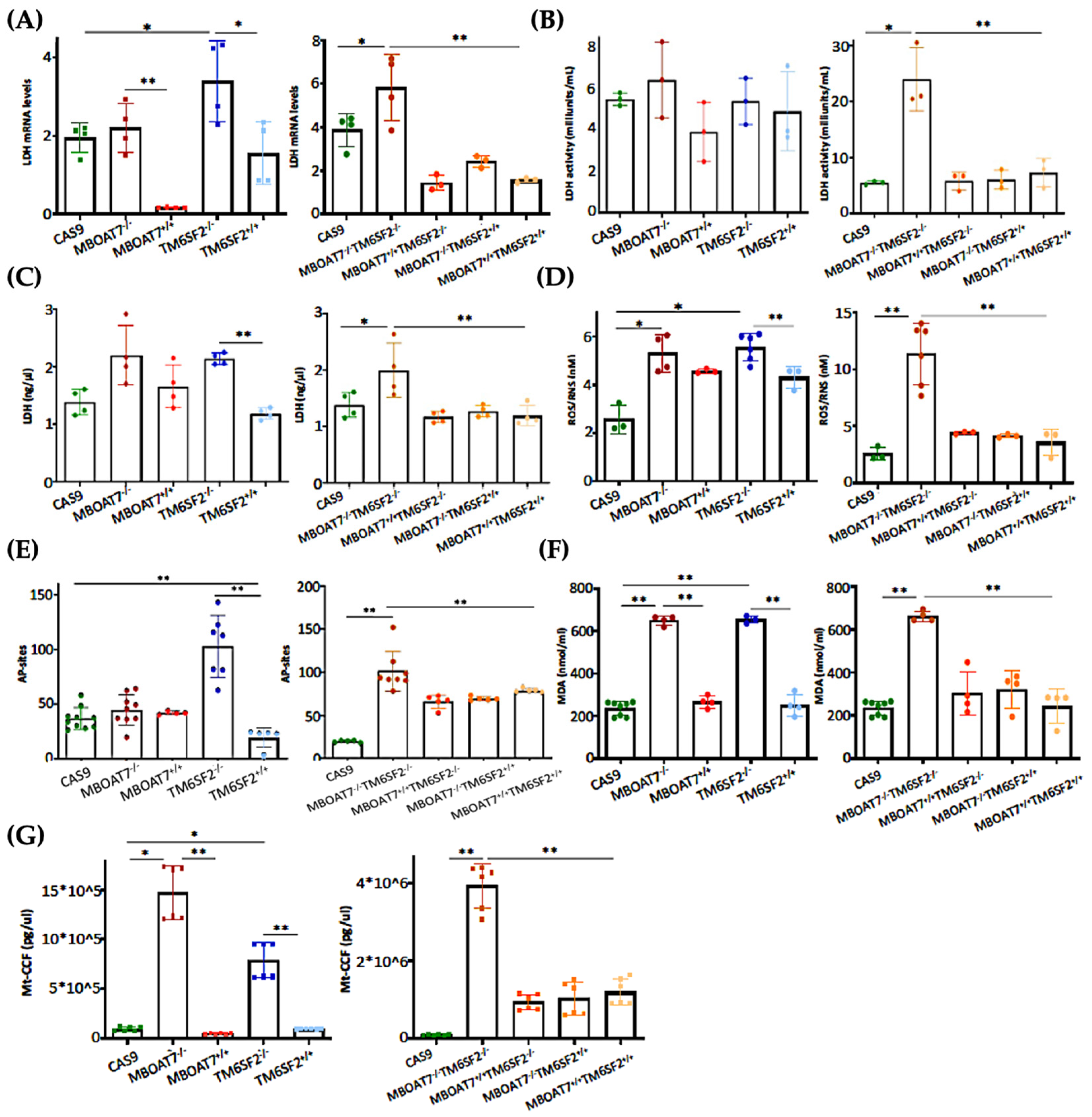 Antioxidants 14 00618 g004